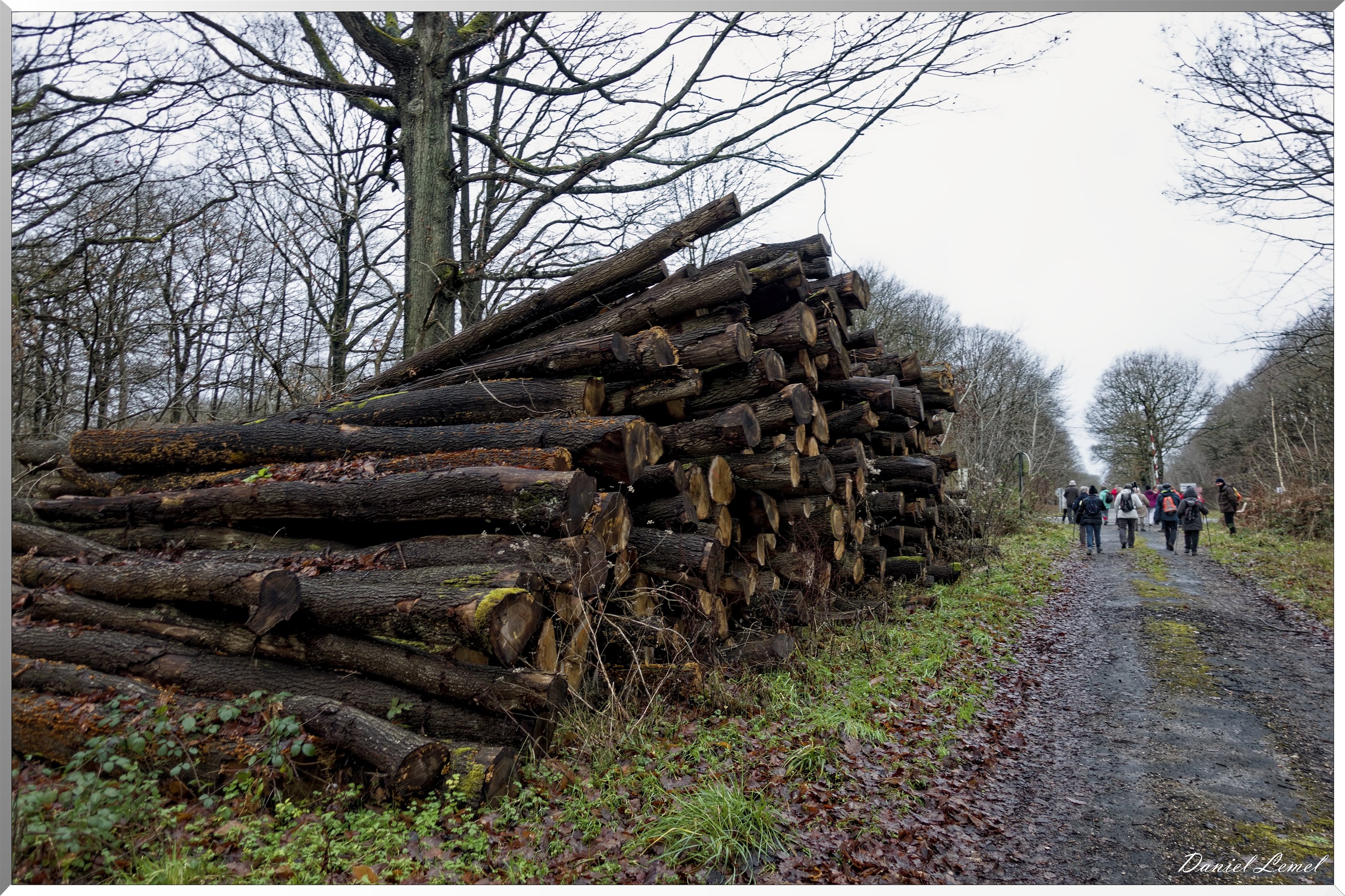 Vernon - Forêt du LRBA