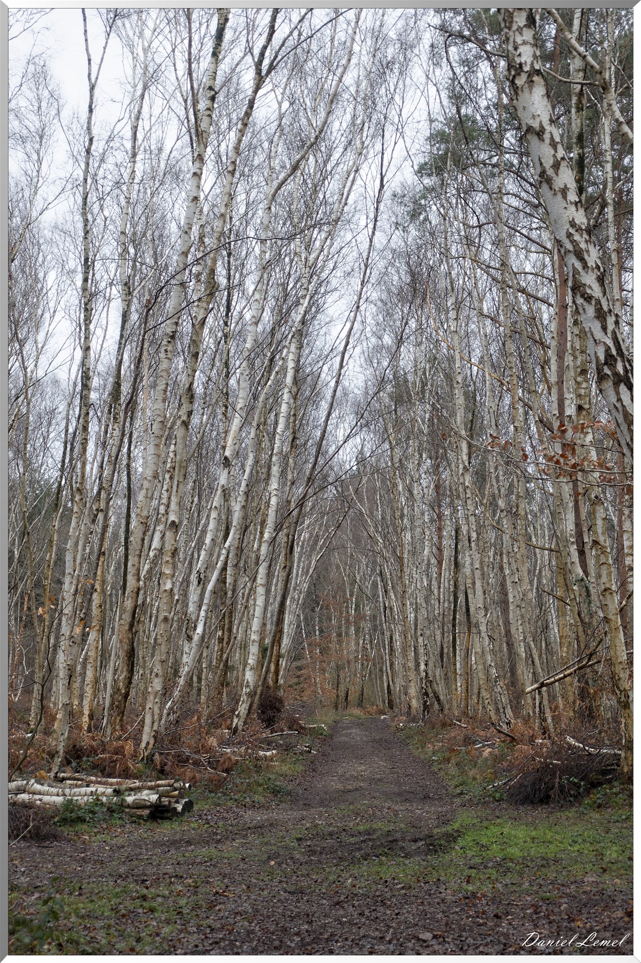 Vernon - Forêt du LRBA