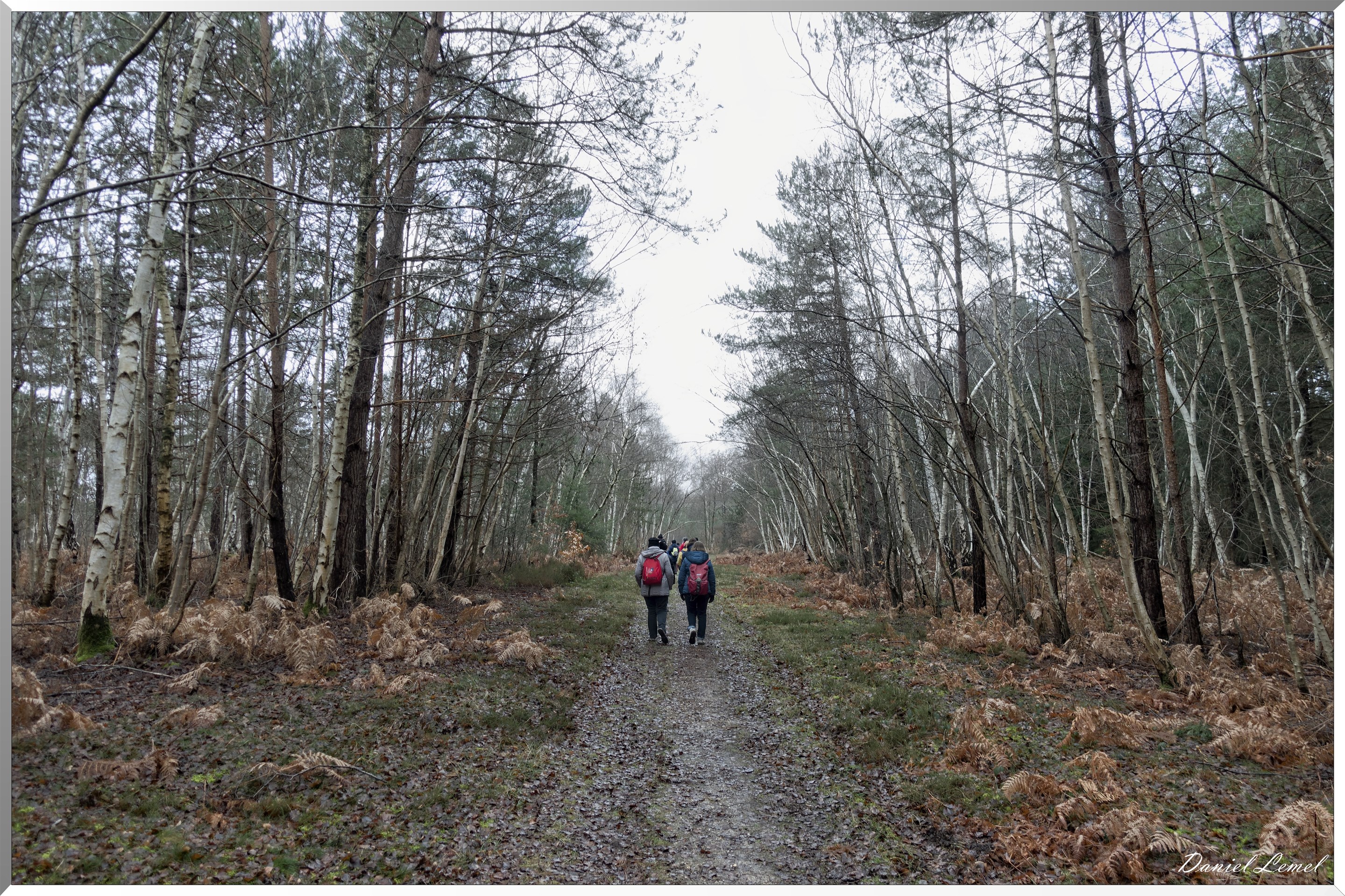 Vernon - Forêt du LRBA