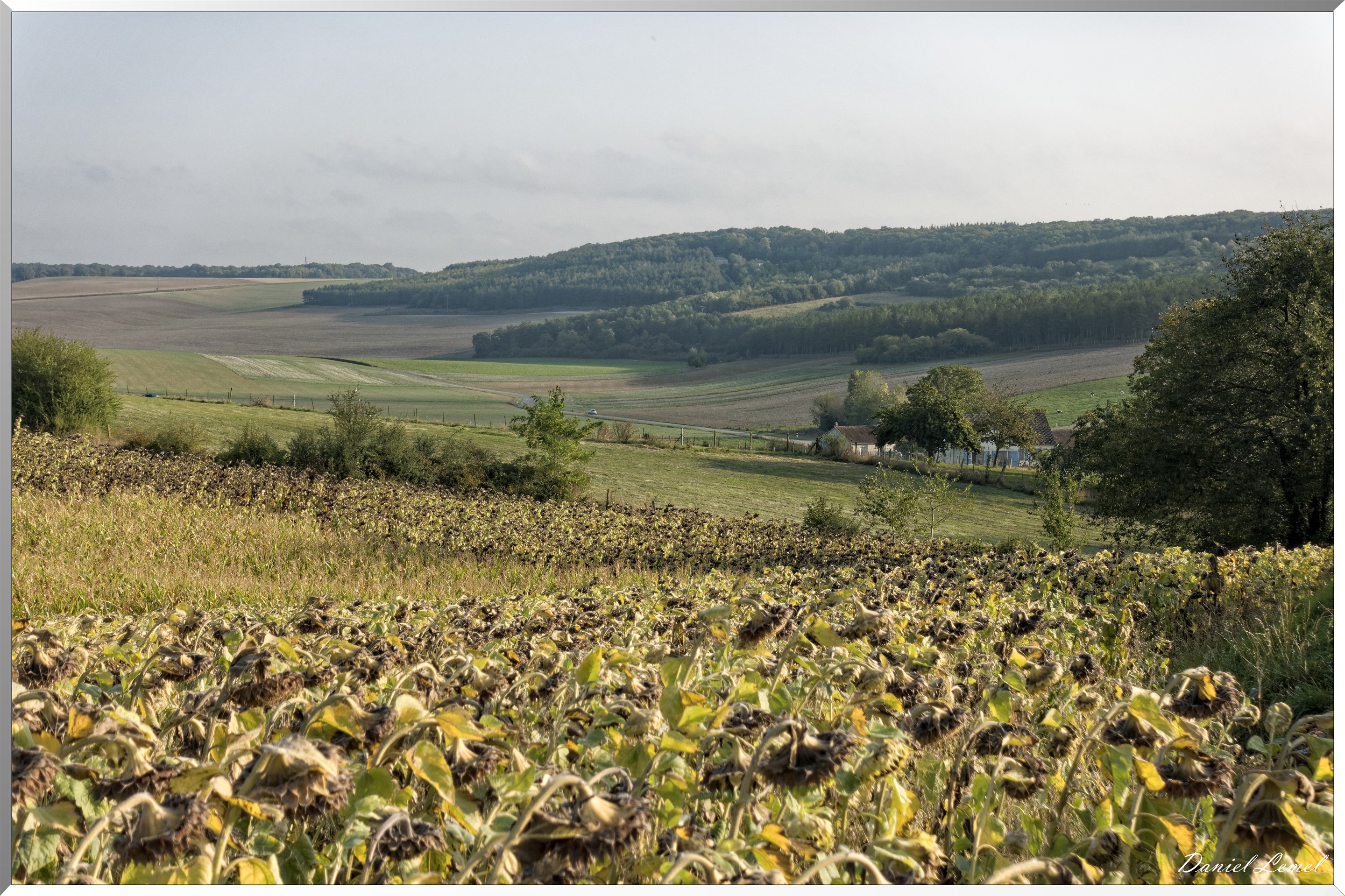 Le Mesnil-Milon