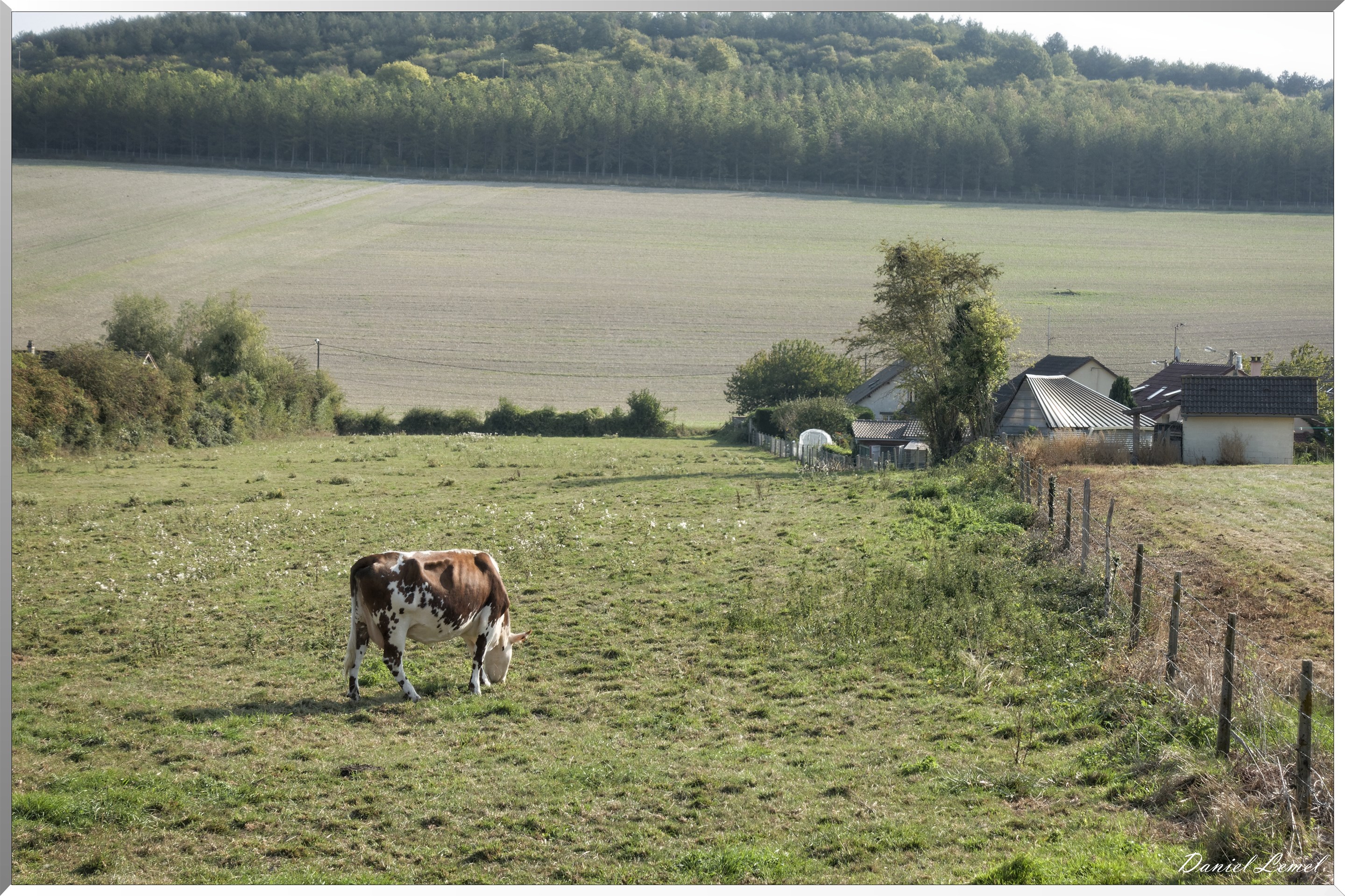 Le Mesnil-Milon