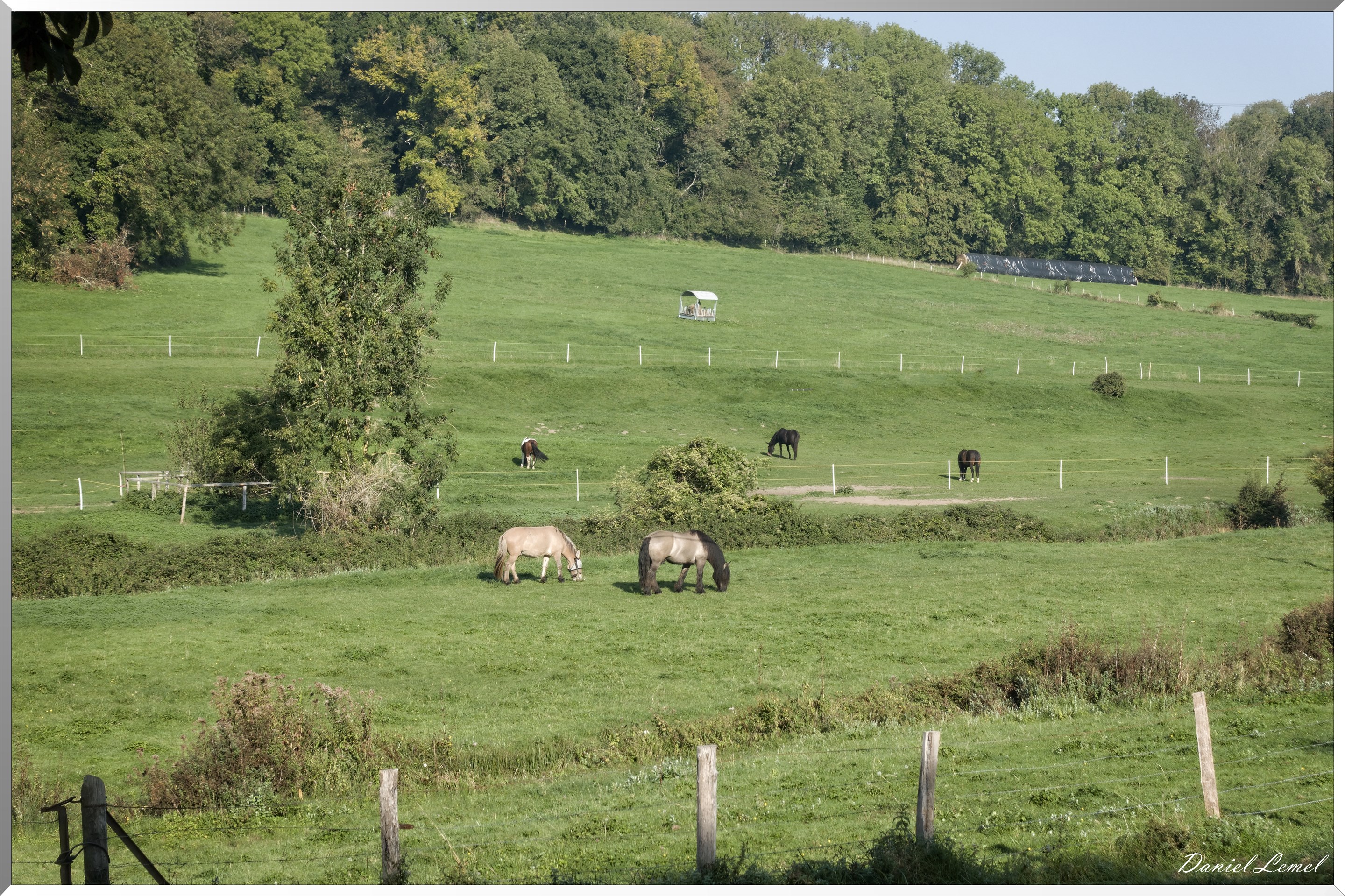 Villers-en-Arthies