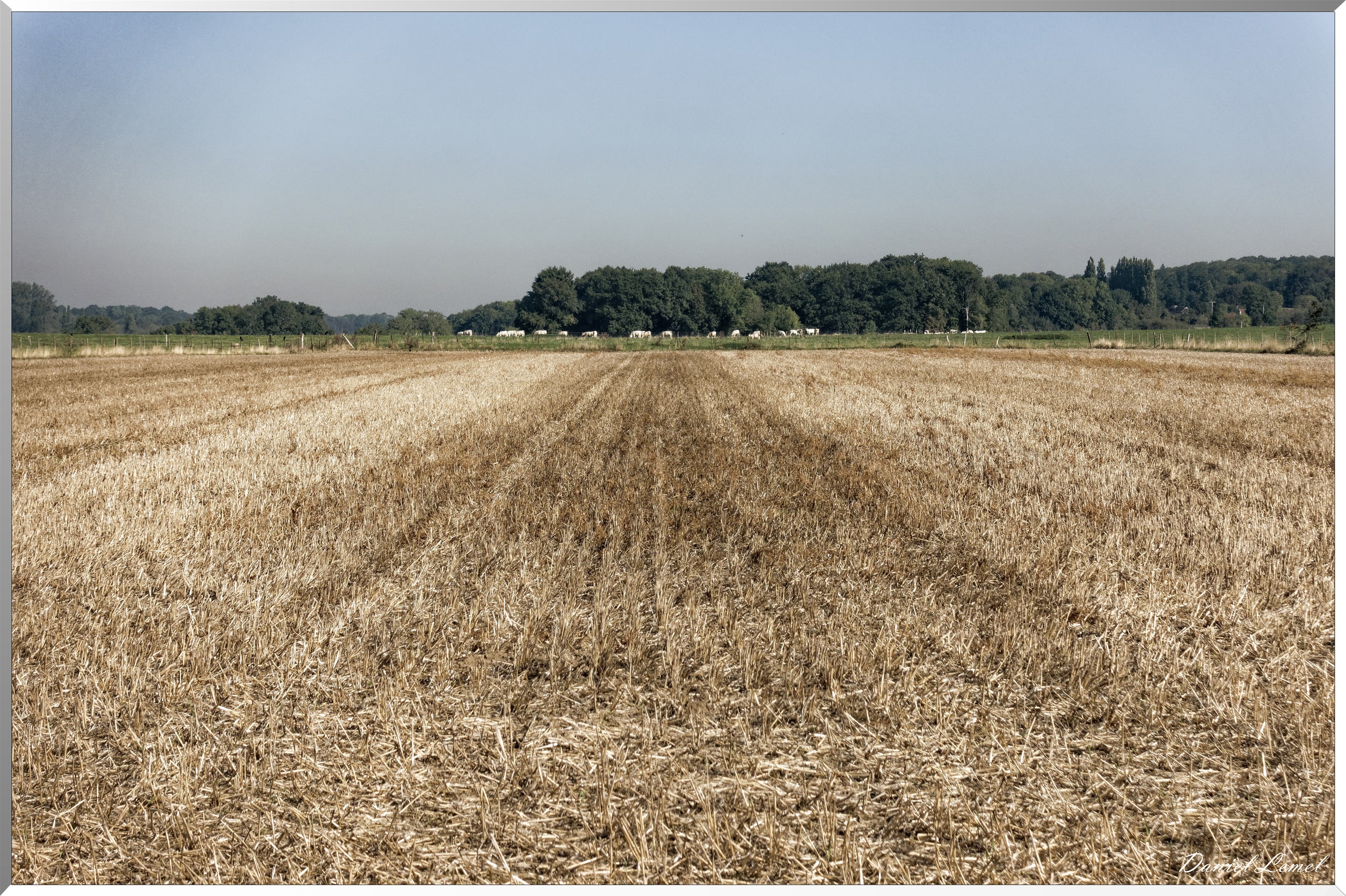 Villers-en-Arthies