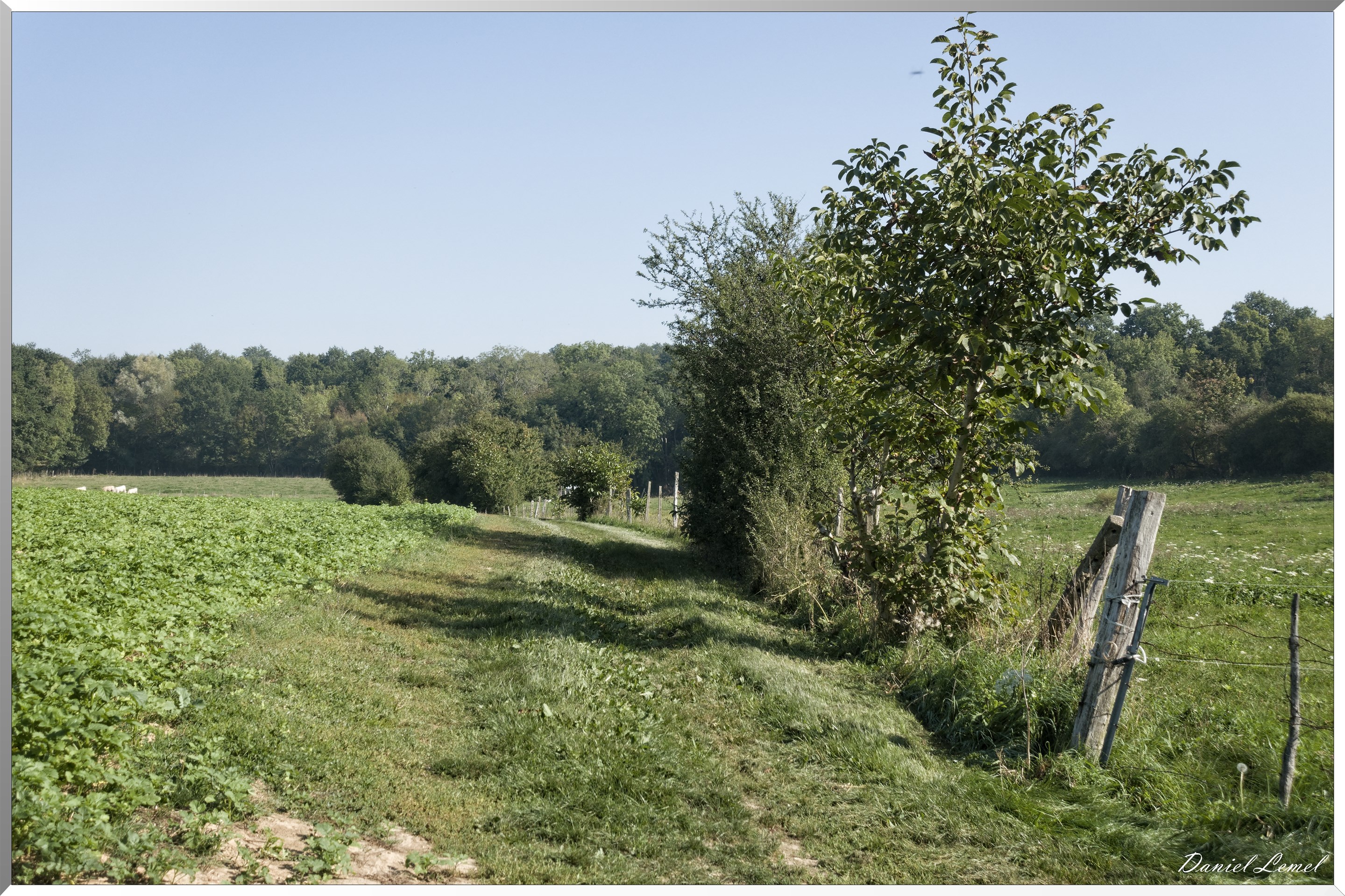 Villers-en-Arthies