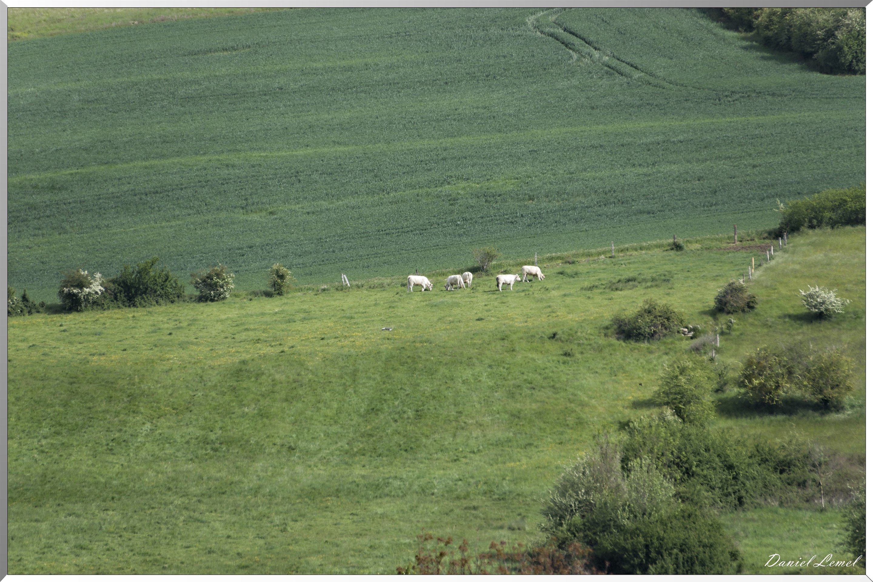 Ambleville-Omerville-Magnitot