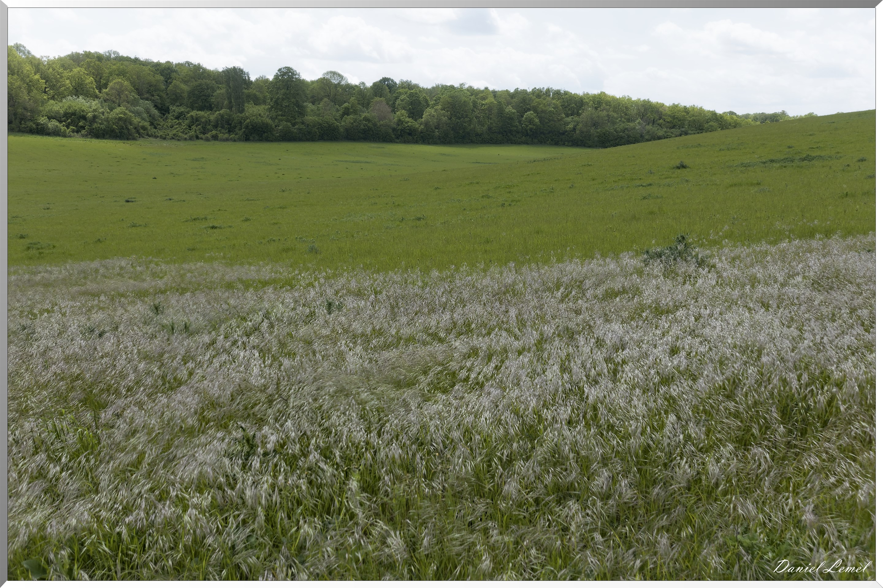 Ambleville-Omerville-Magnitot