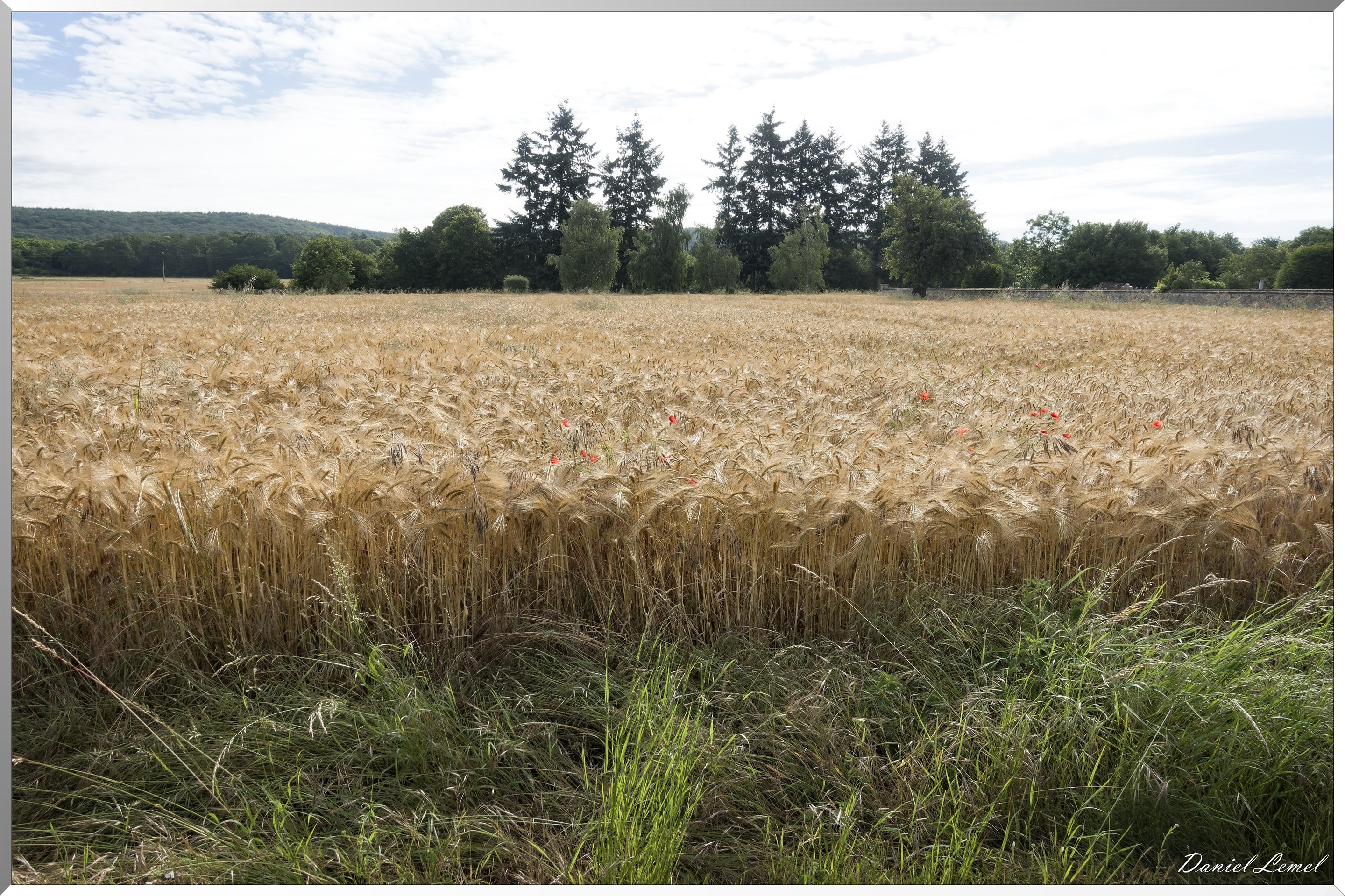 Pressagny l'Orgueilleux