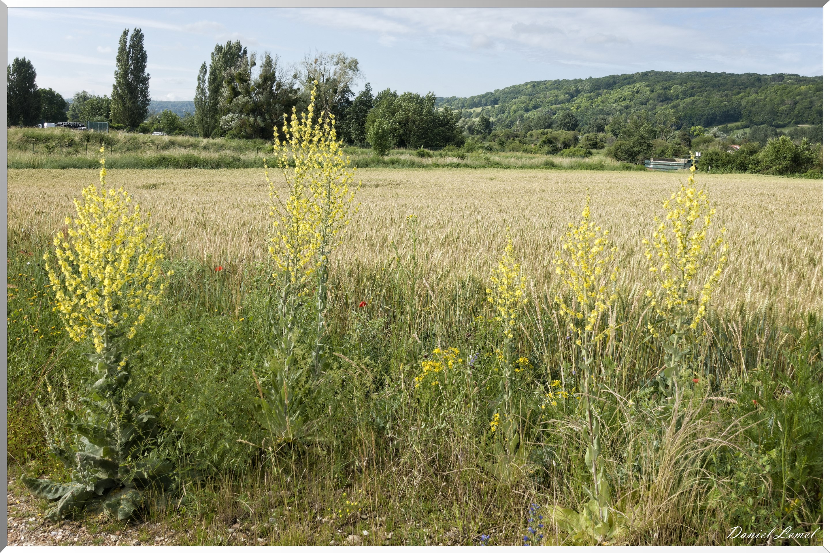 Pressagny l'Orgueilleux