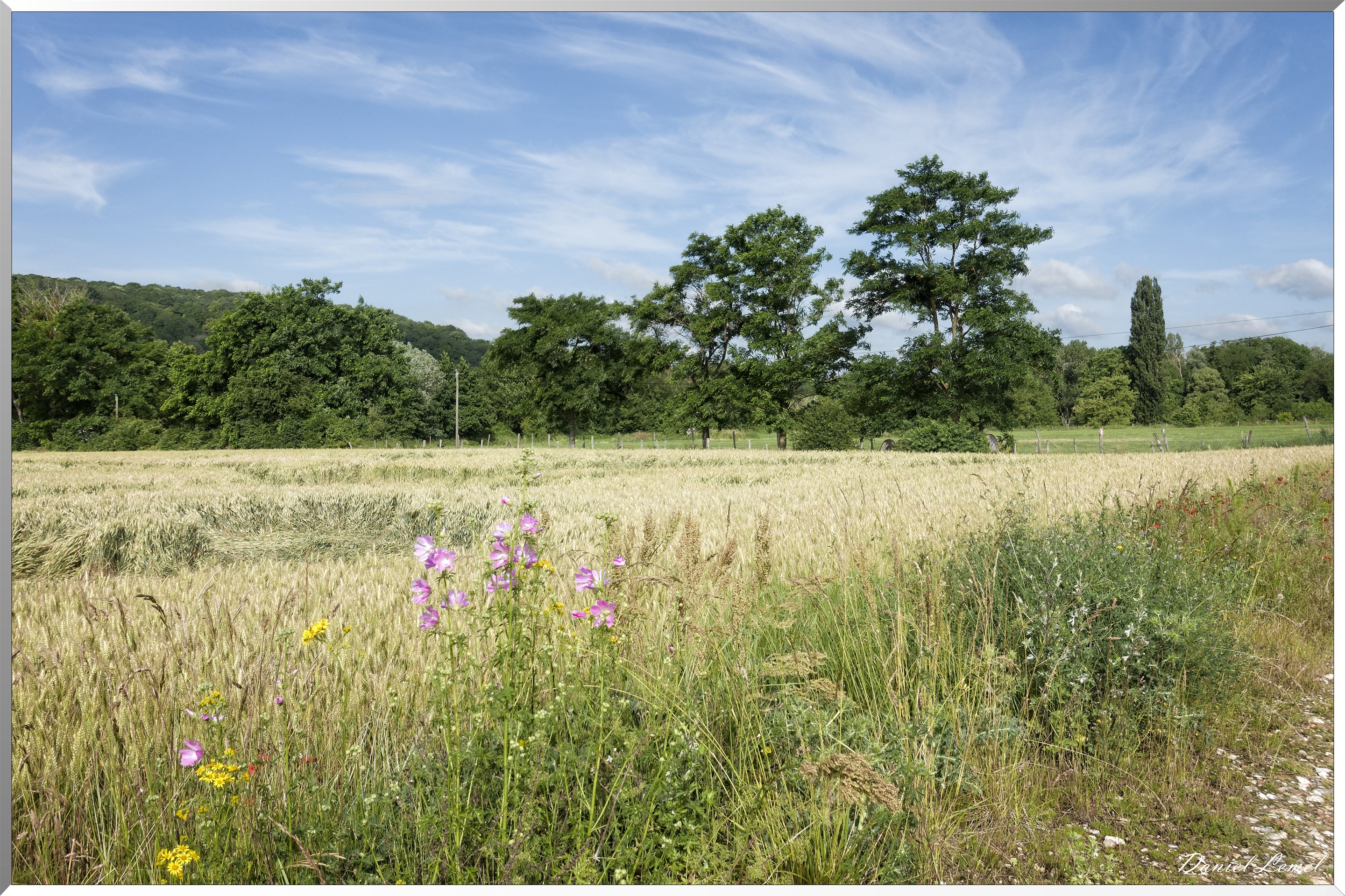 Pressagny l'Orgueilleux