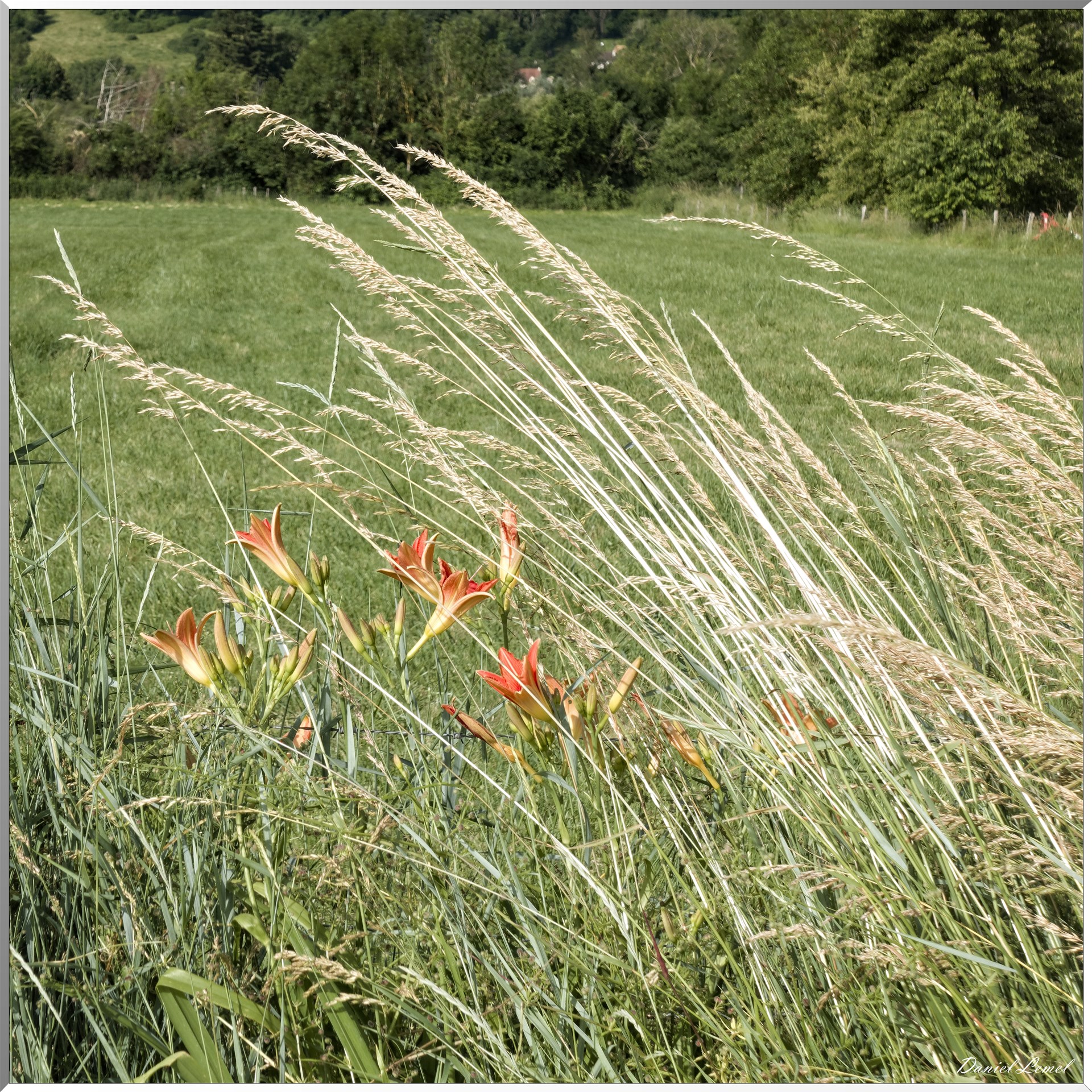 Pressagny l'Orgueilleux