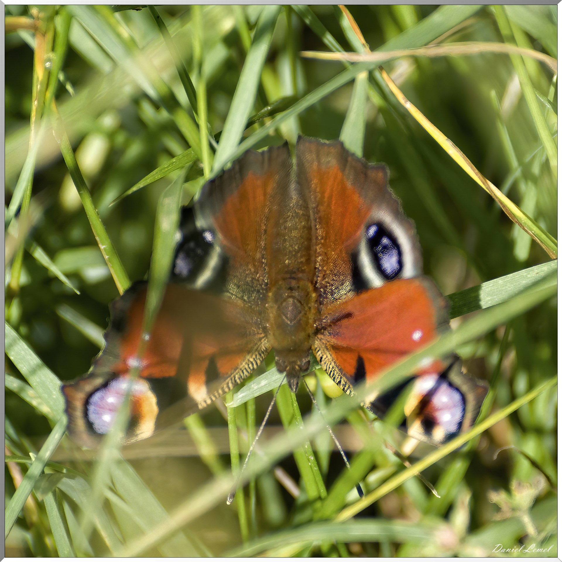Saint-Denis-le-Ferment