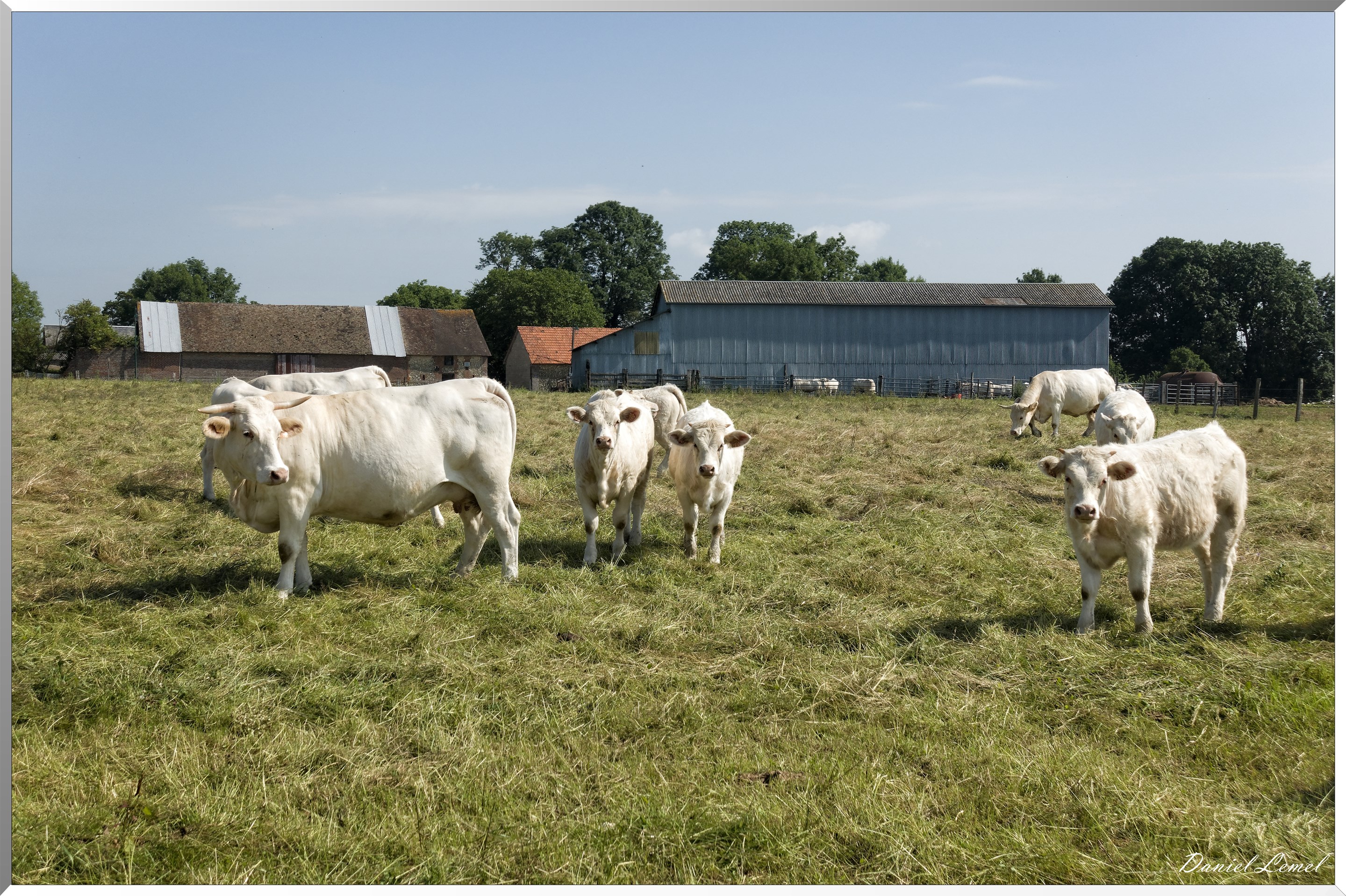 Saint-Denis-le-Ferment