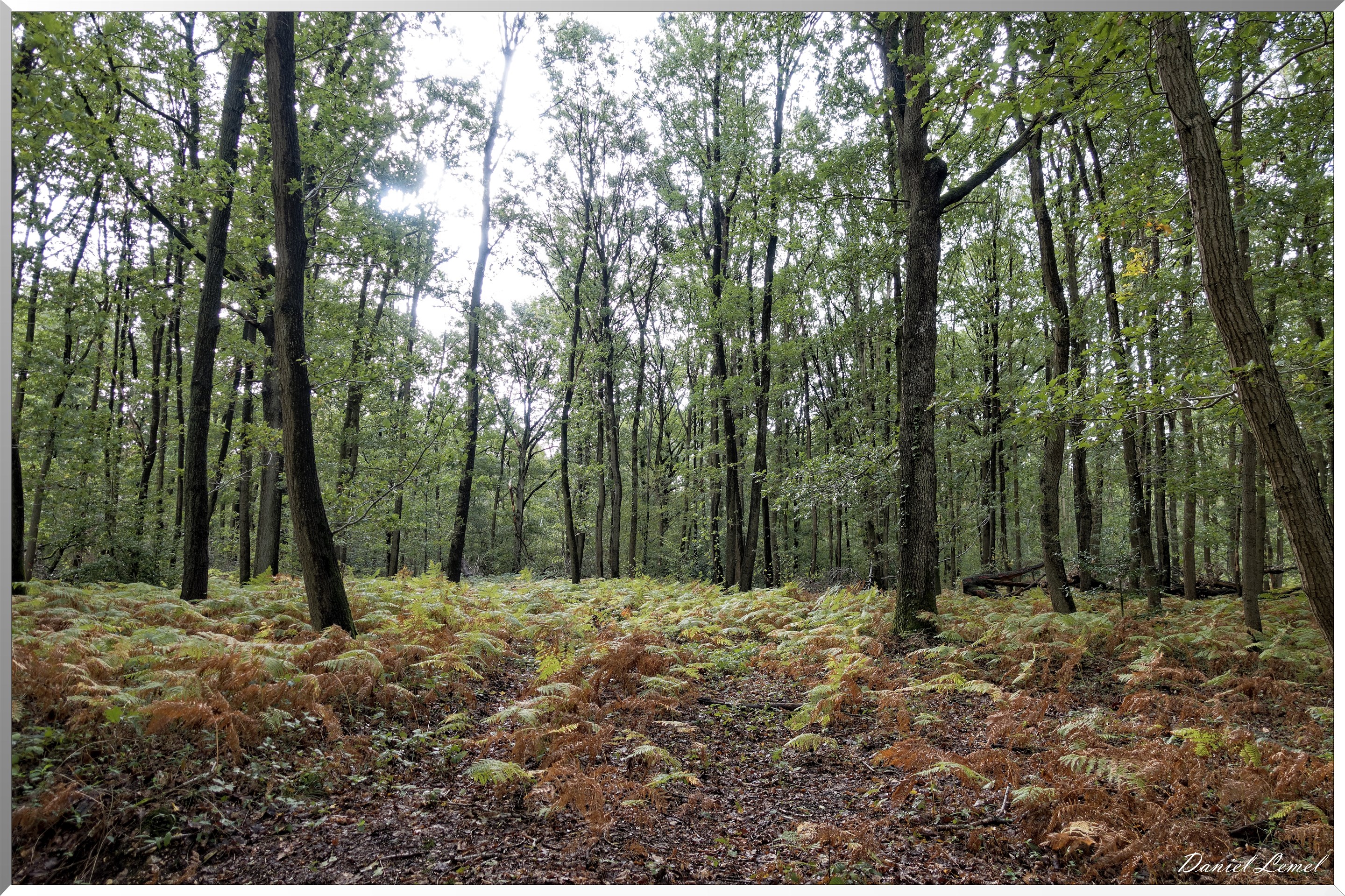 Bois-Jérôme-Saint-Ouen