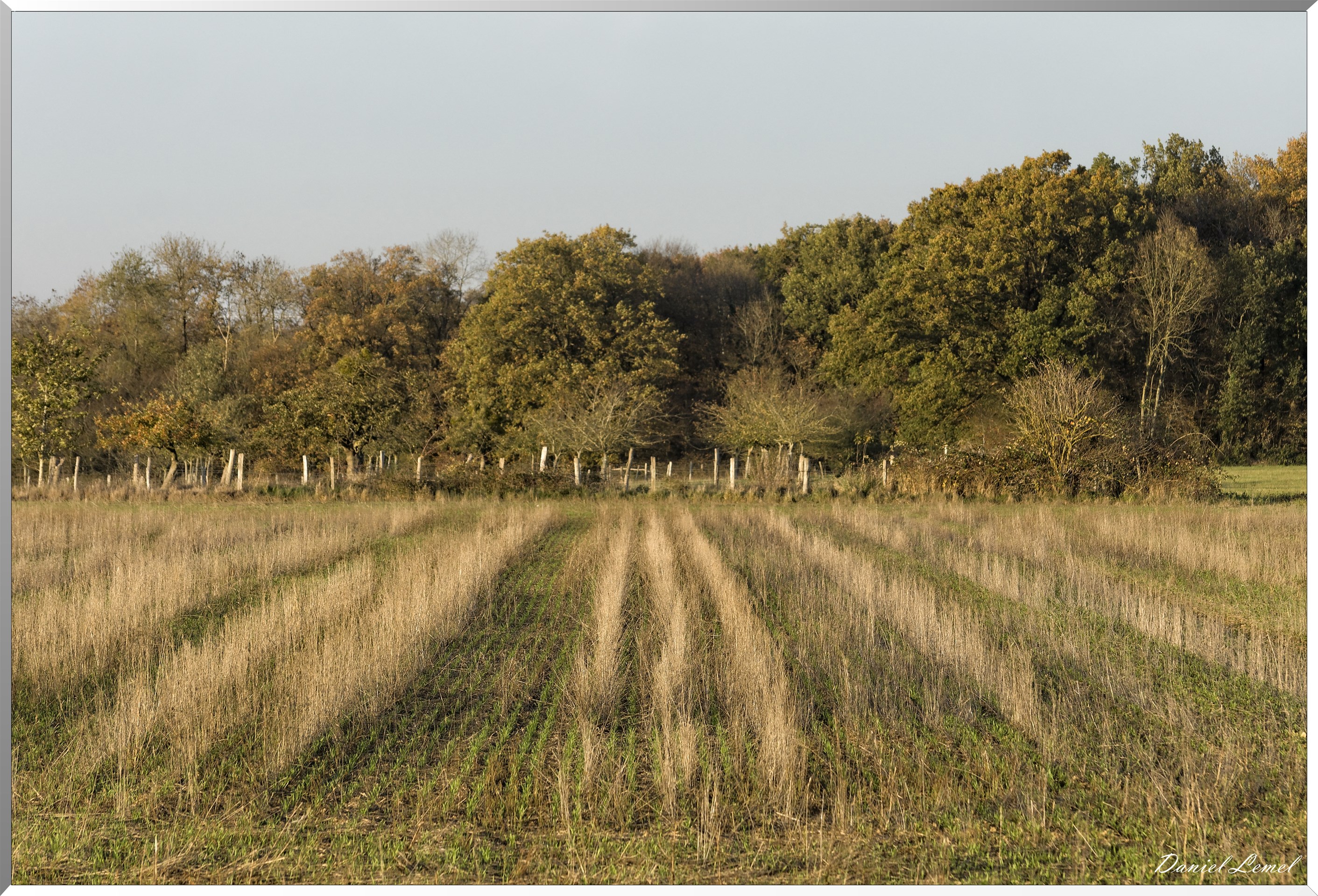 Saint-Pierre-de-Bailleul