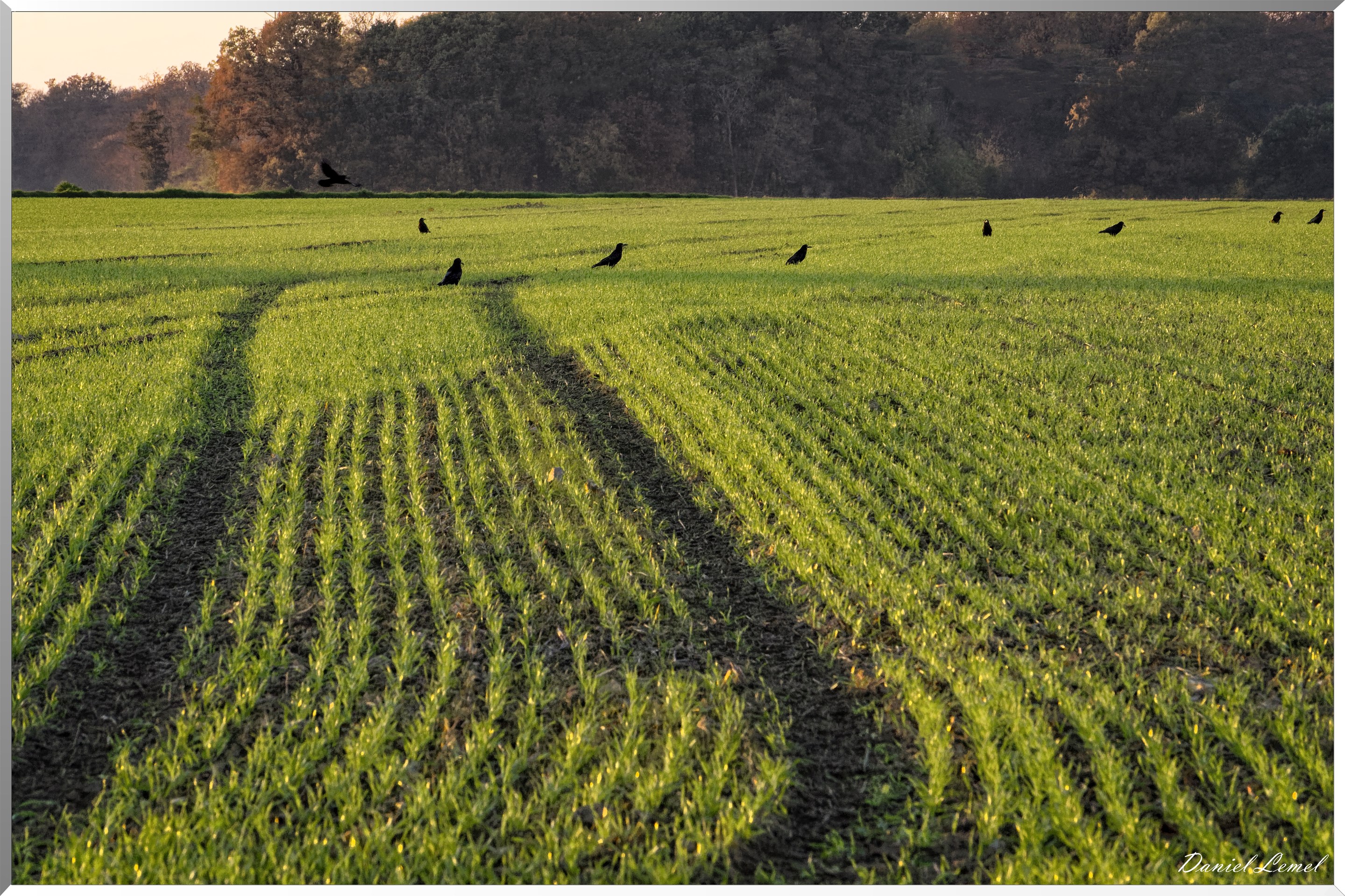 Saint-Pierre-de-Bailleul