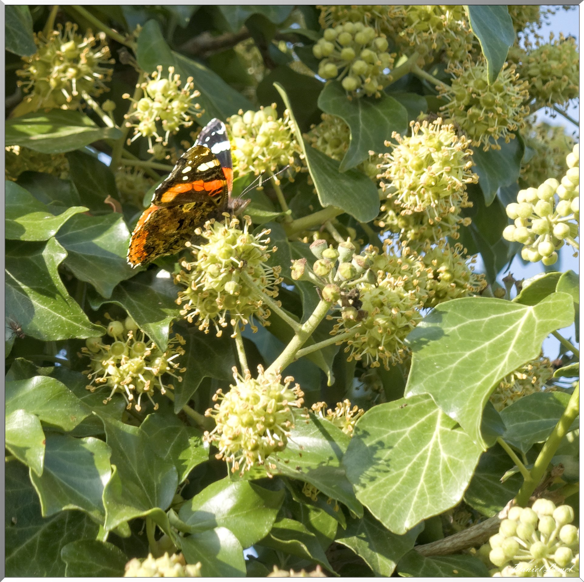 Vernon - Saint-Marcel