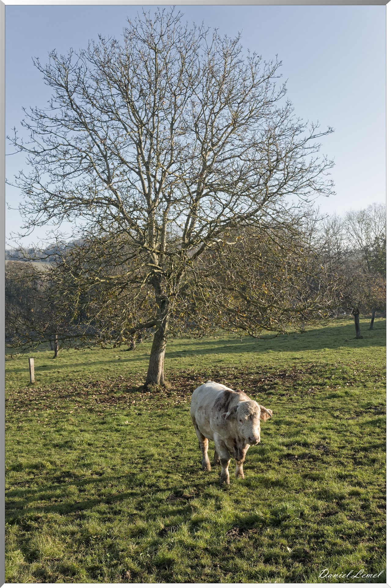 Chaussy - Villarceaux