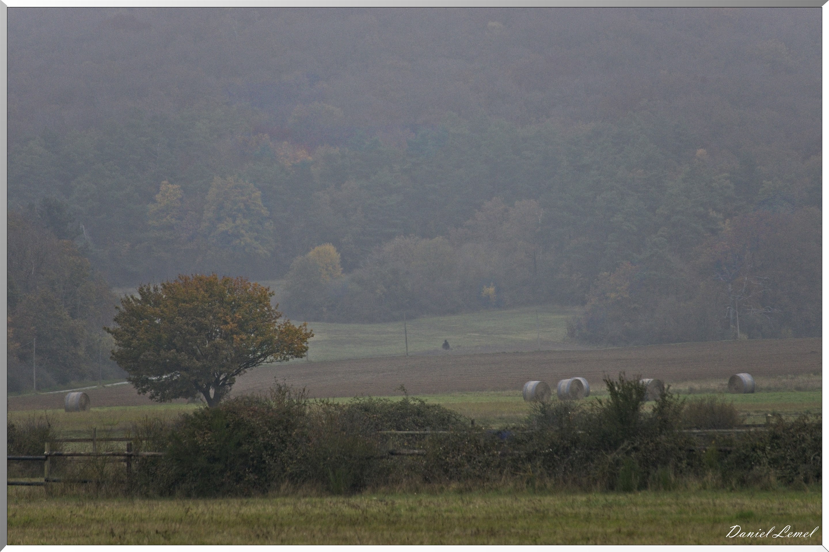 Pressagny l'orgueilleux