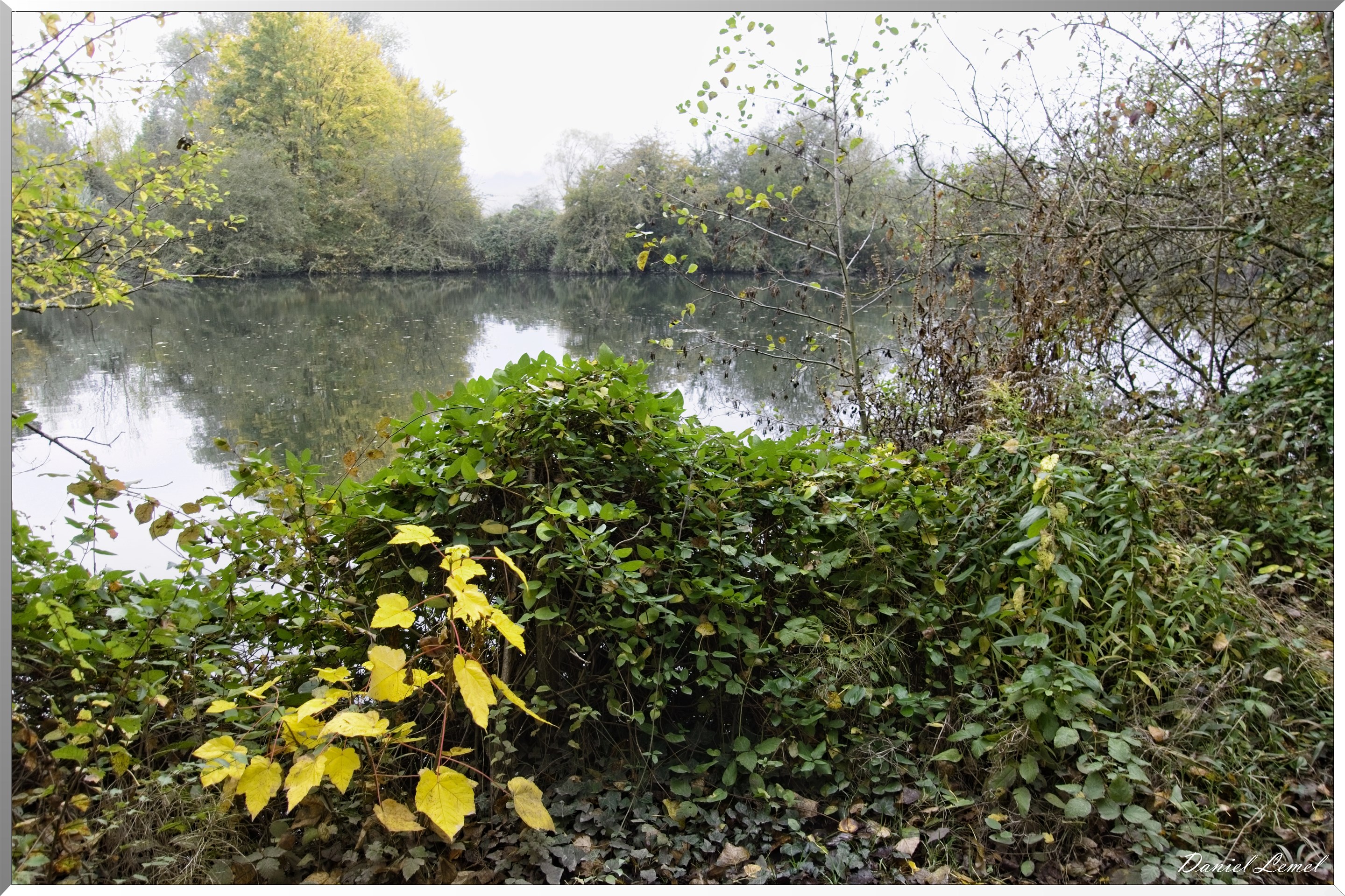 Pressagny l'orgueilleux