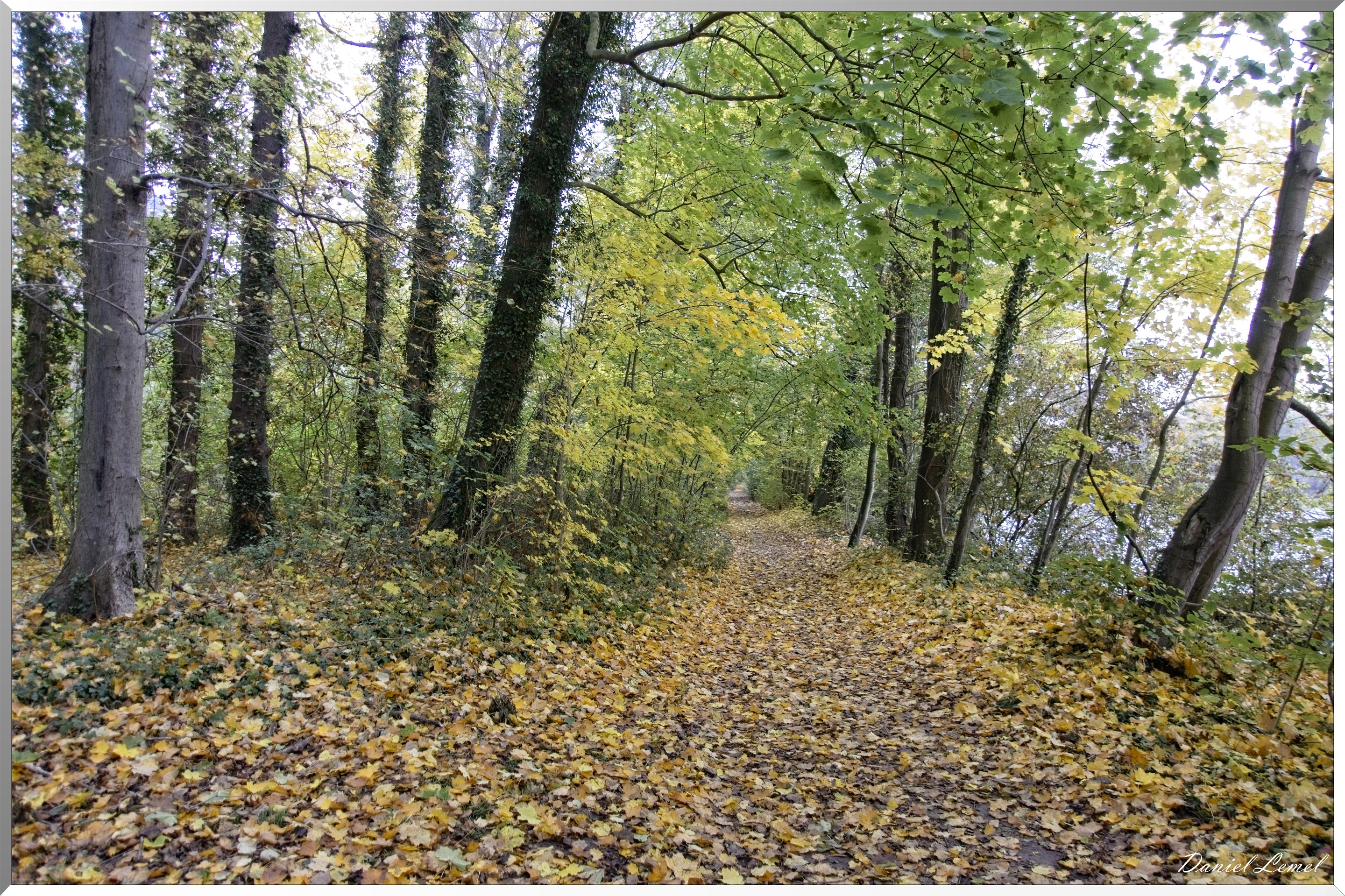 Pressagny l'orgueilleux