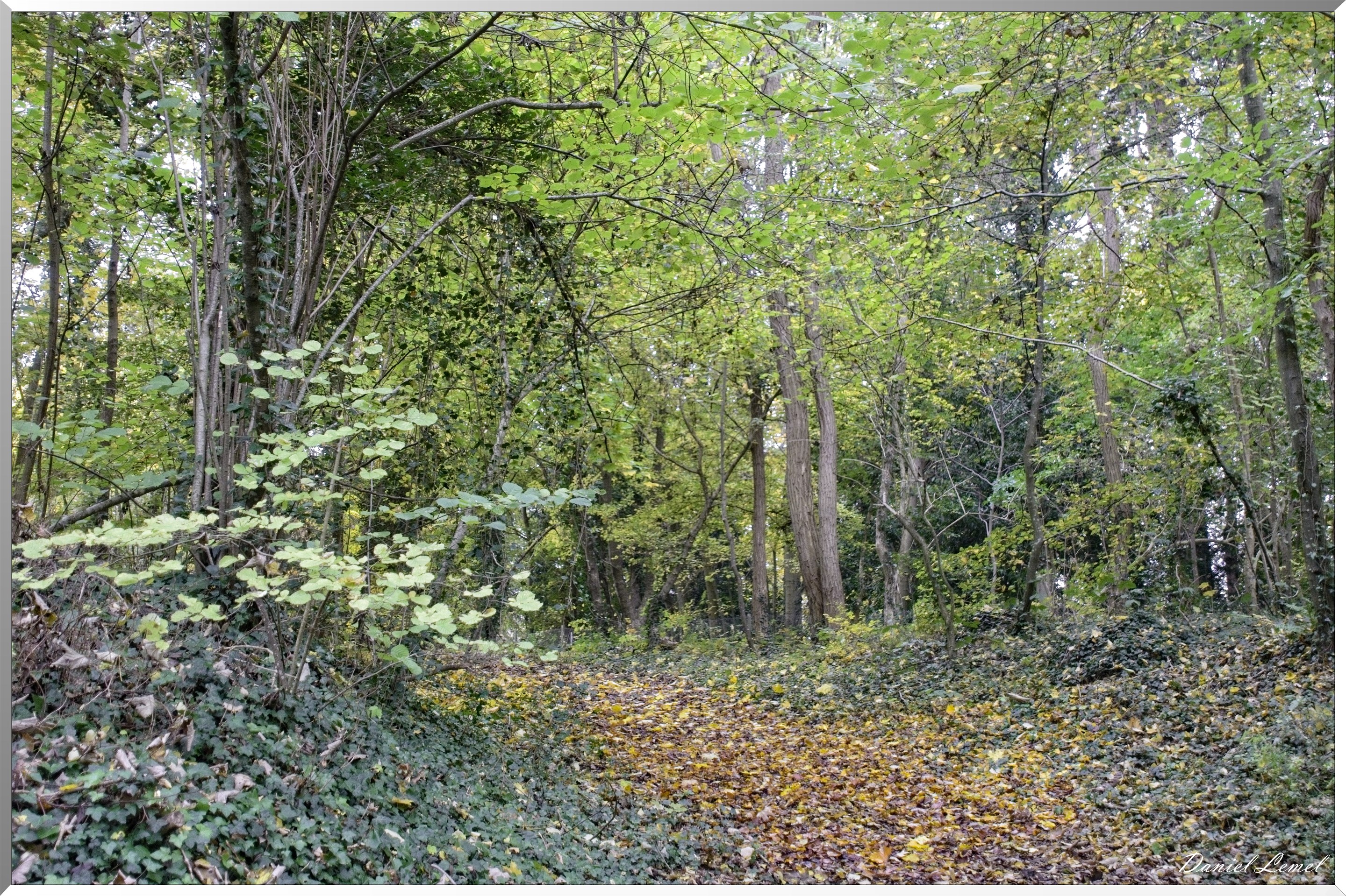 Pressagny l'orgueilleux