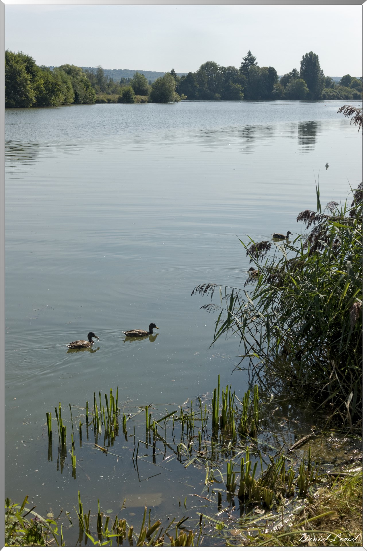 Le Goulet