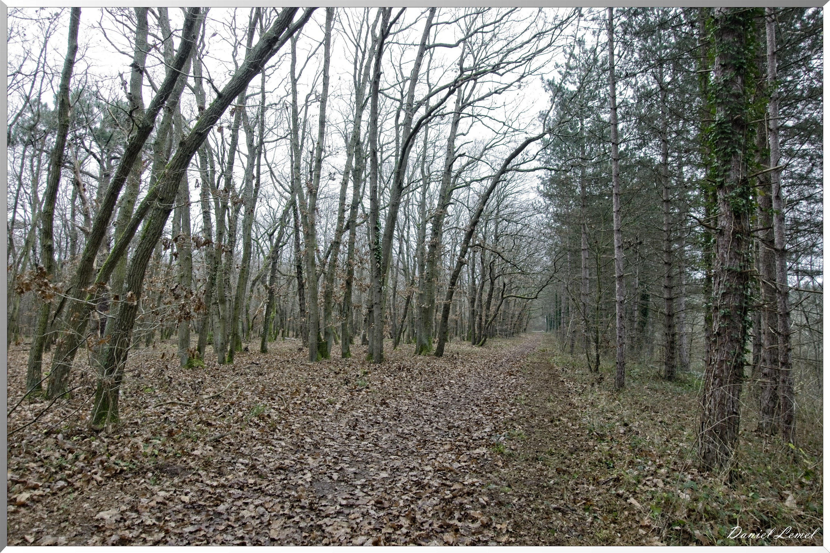 Moisson