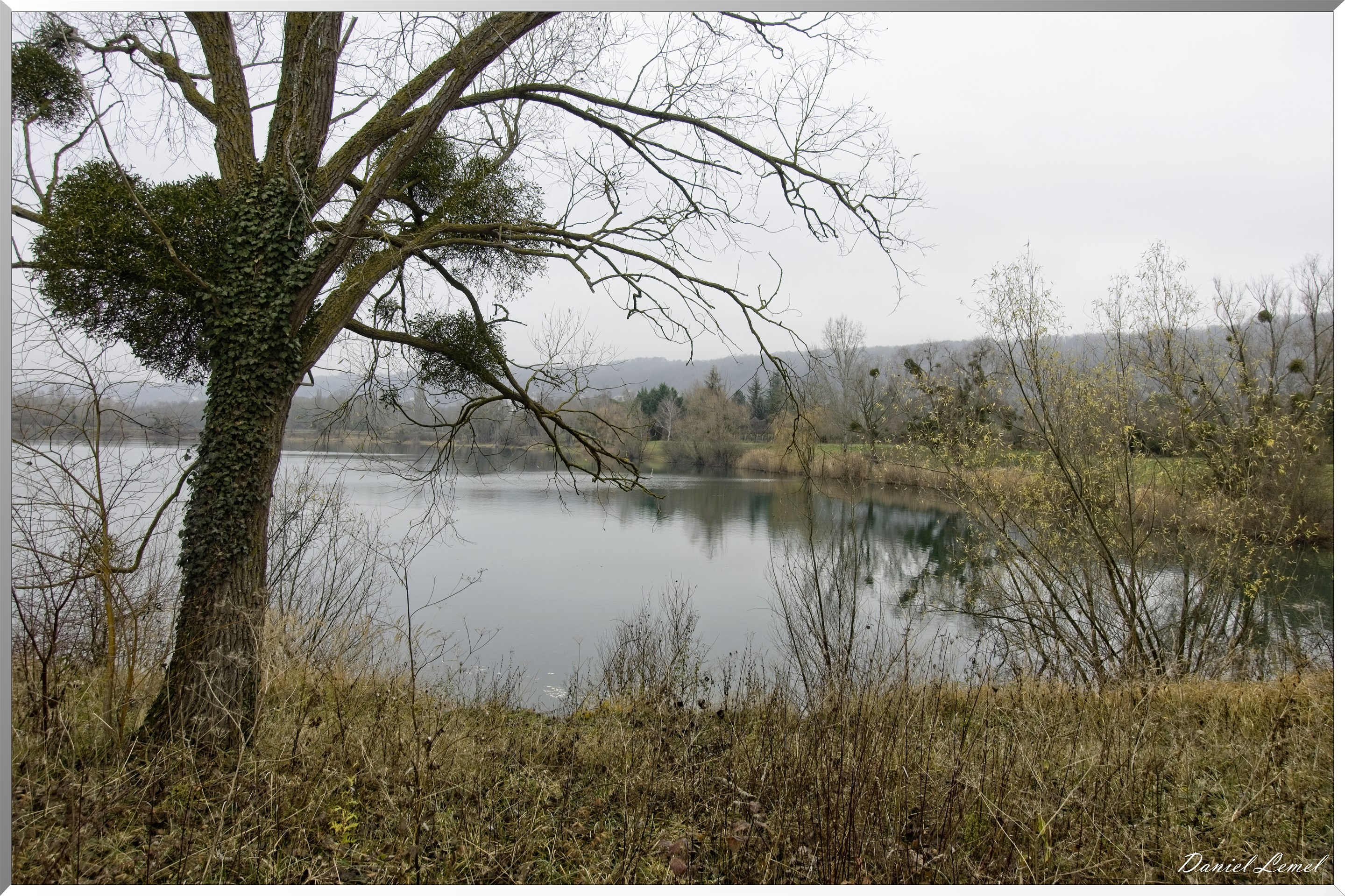 Moisson