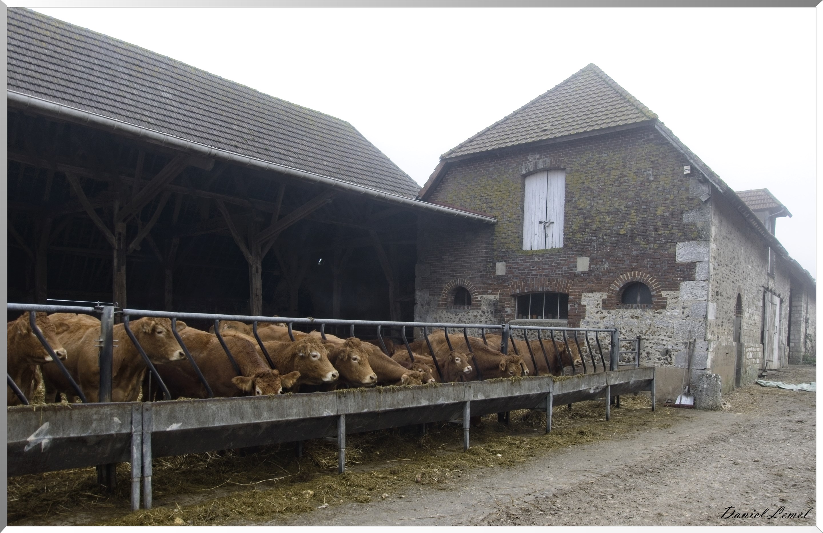 Panilleuse
