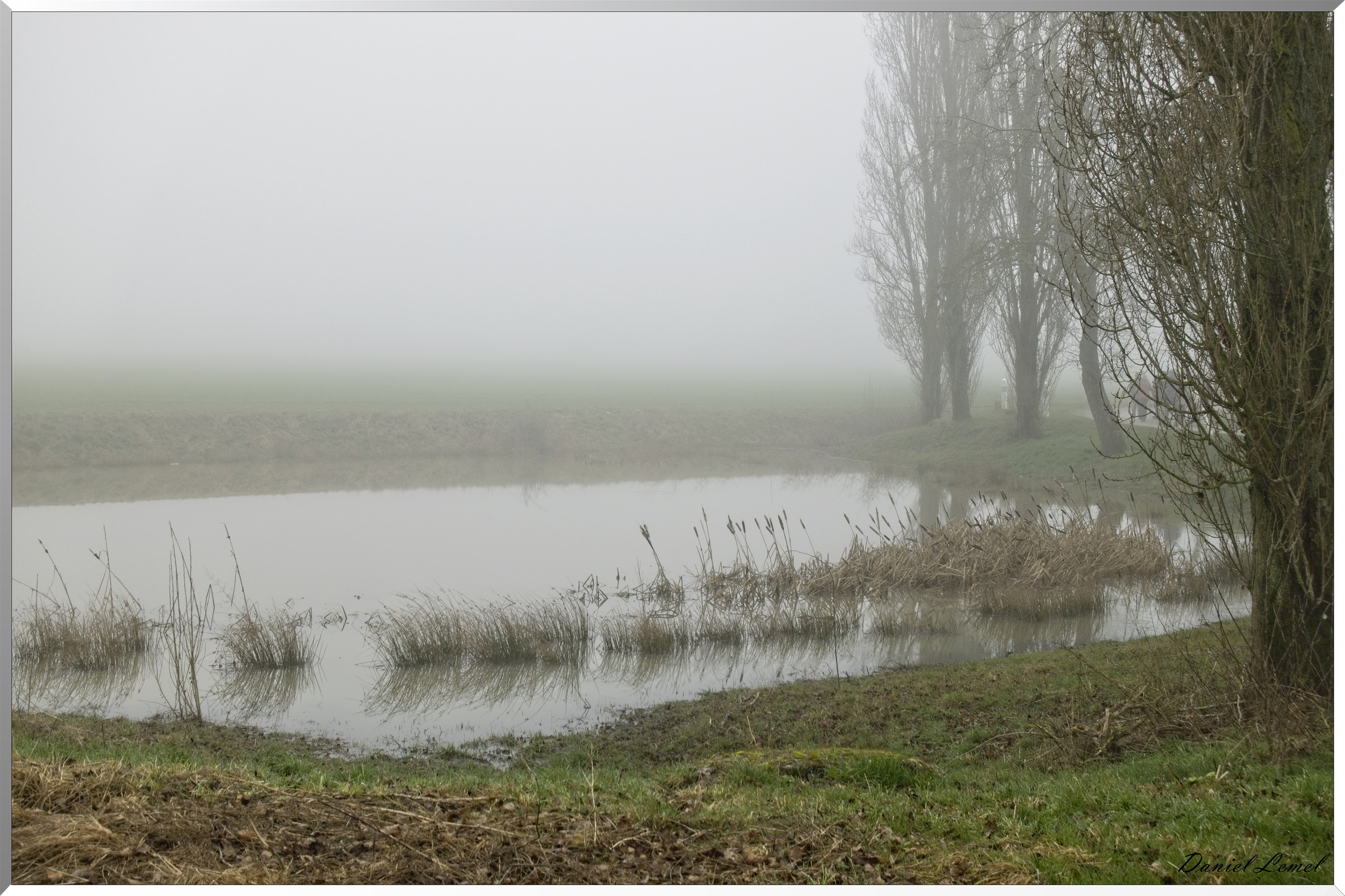 Panilleuse