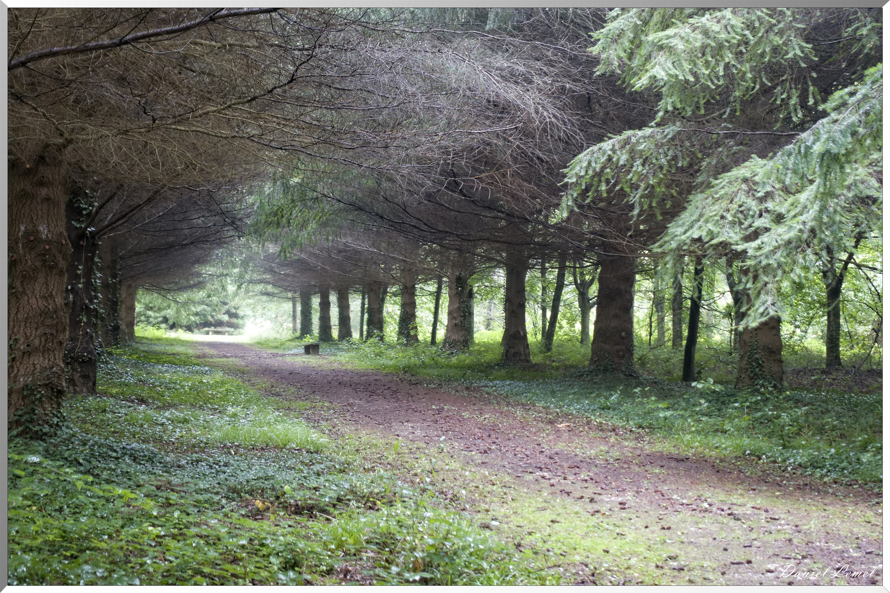 Arborétum de la Roche-Guyon