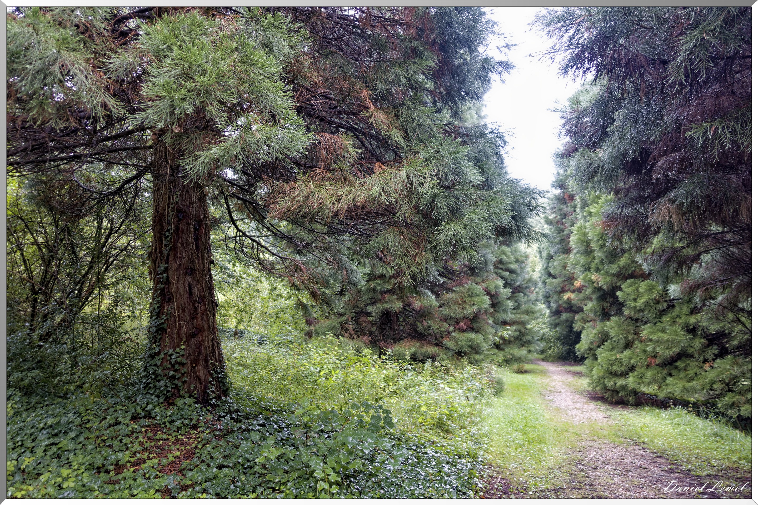 Arborétum de la Roche-Guyon
