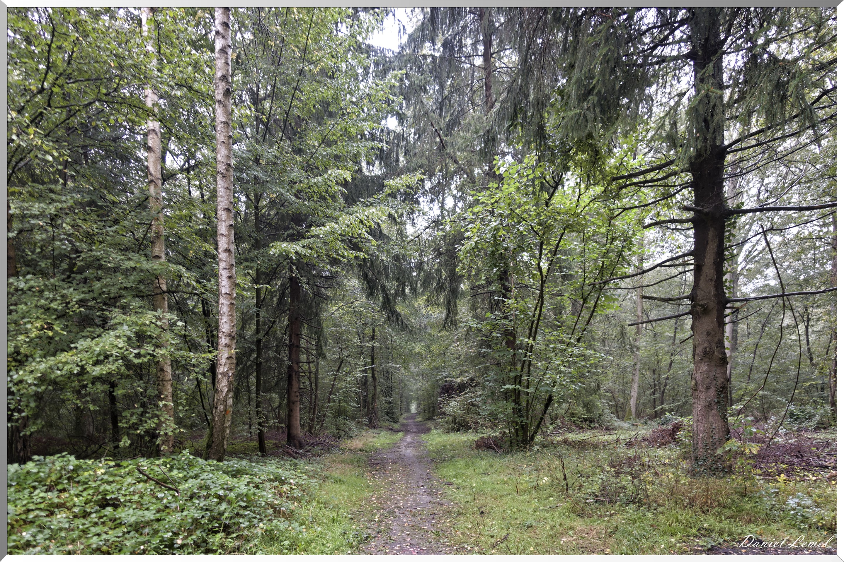 Arborétum de la Roche-Guyon