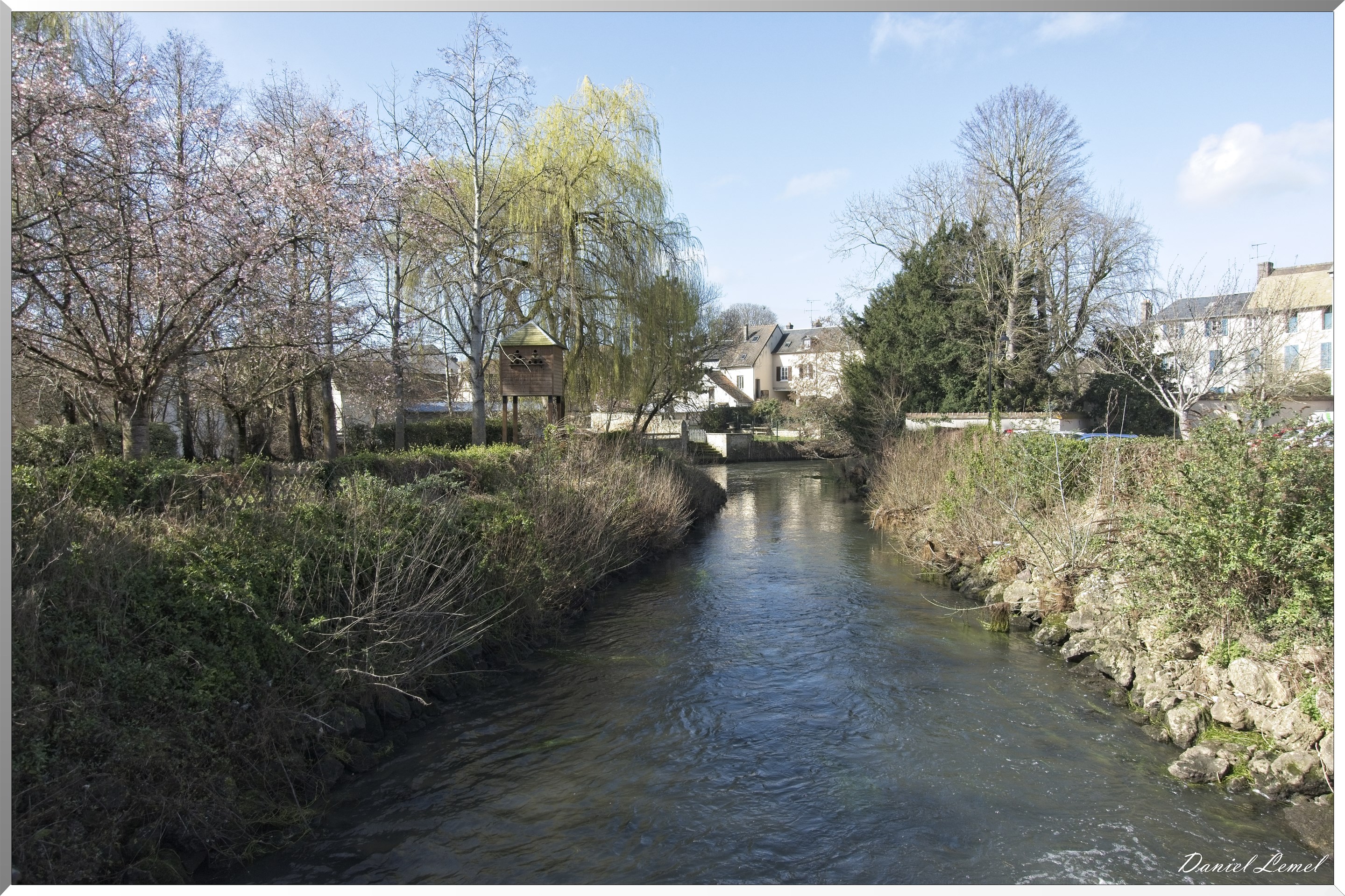 Pacy