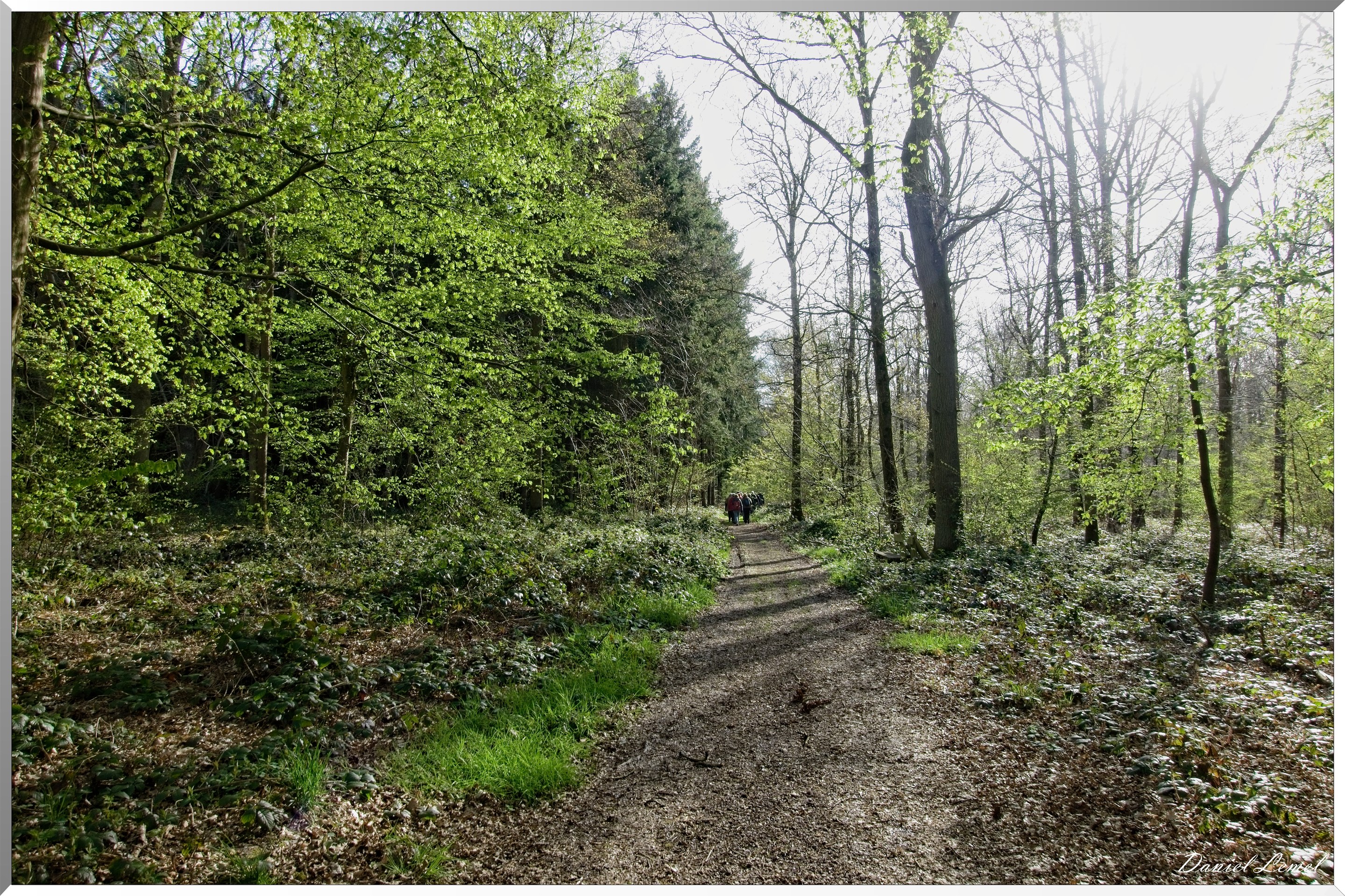 La-Chapelle-Réanville