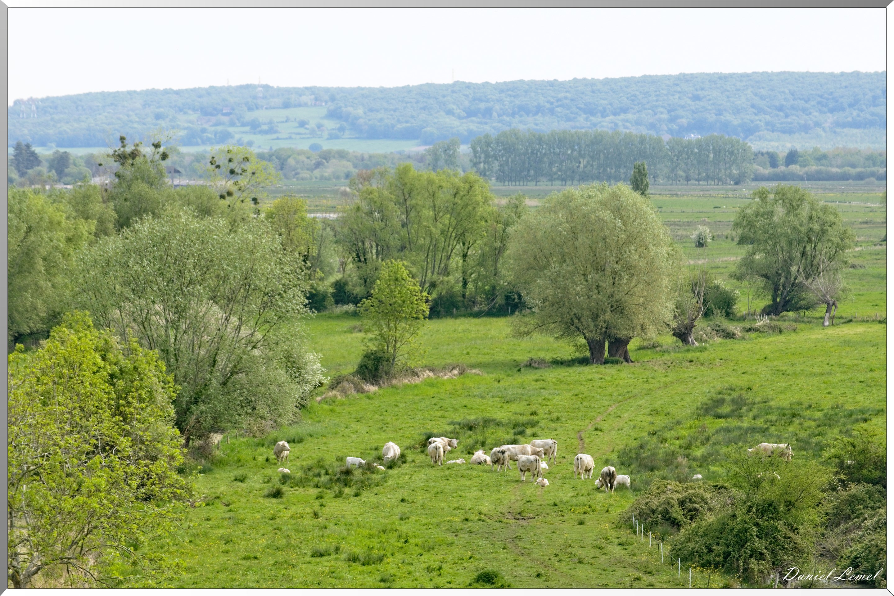Le Marais-Vernier