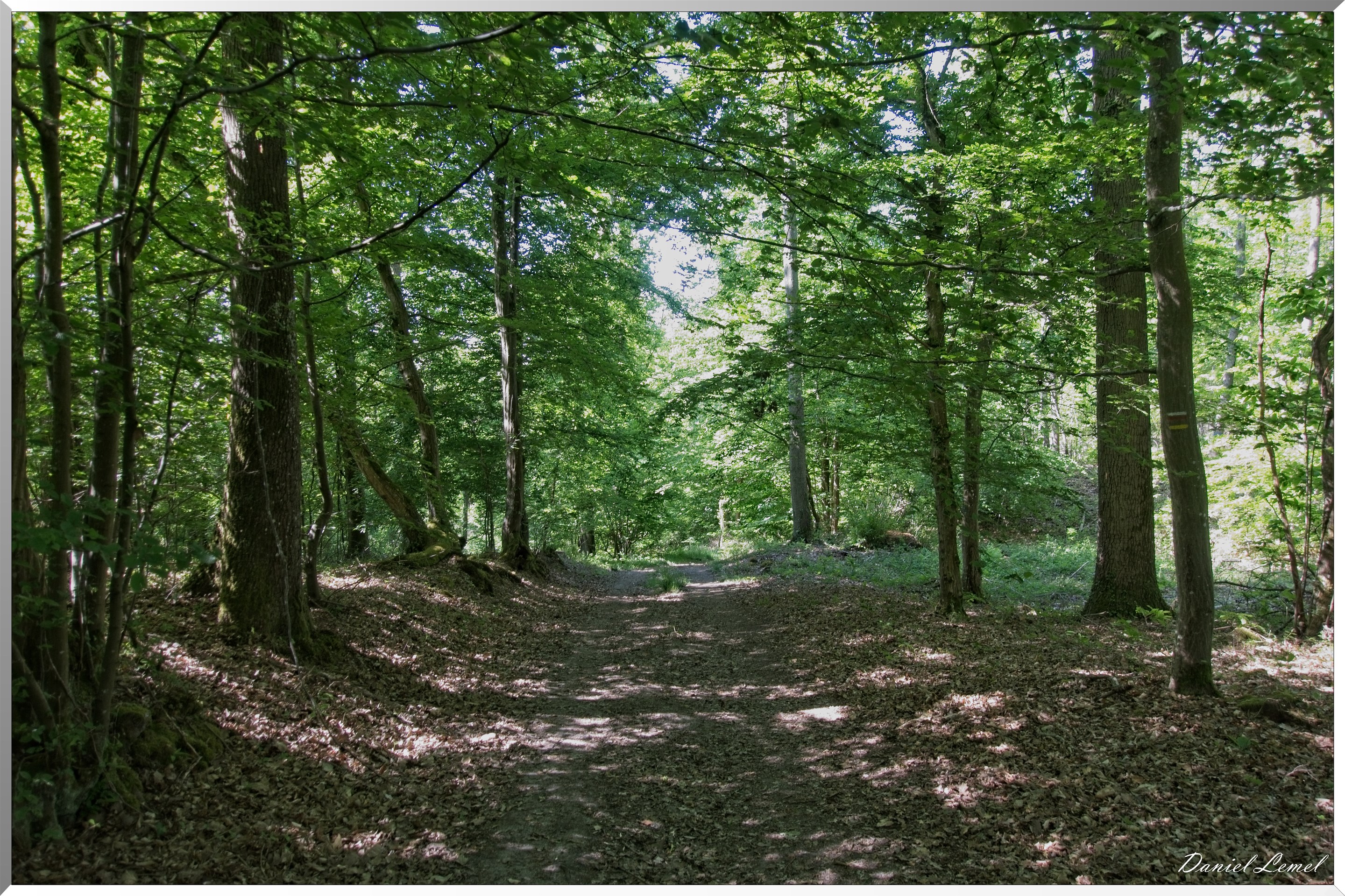 Jouy-sur-Eure