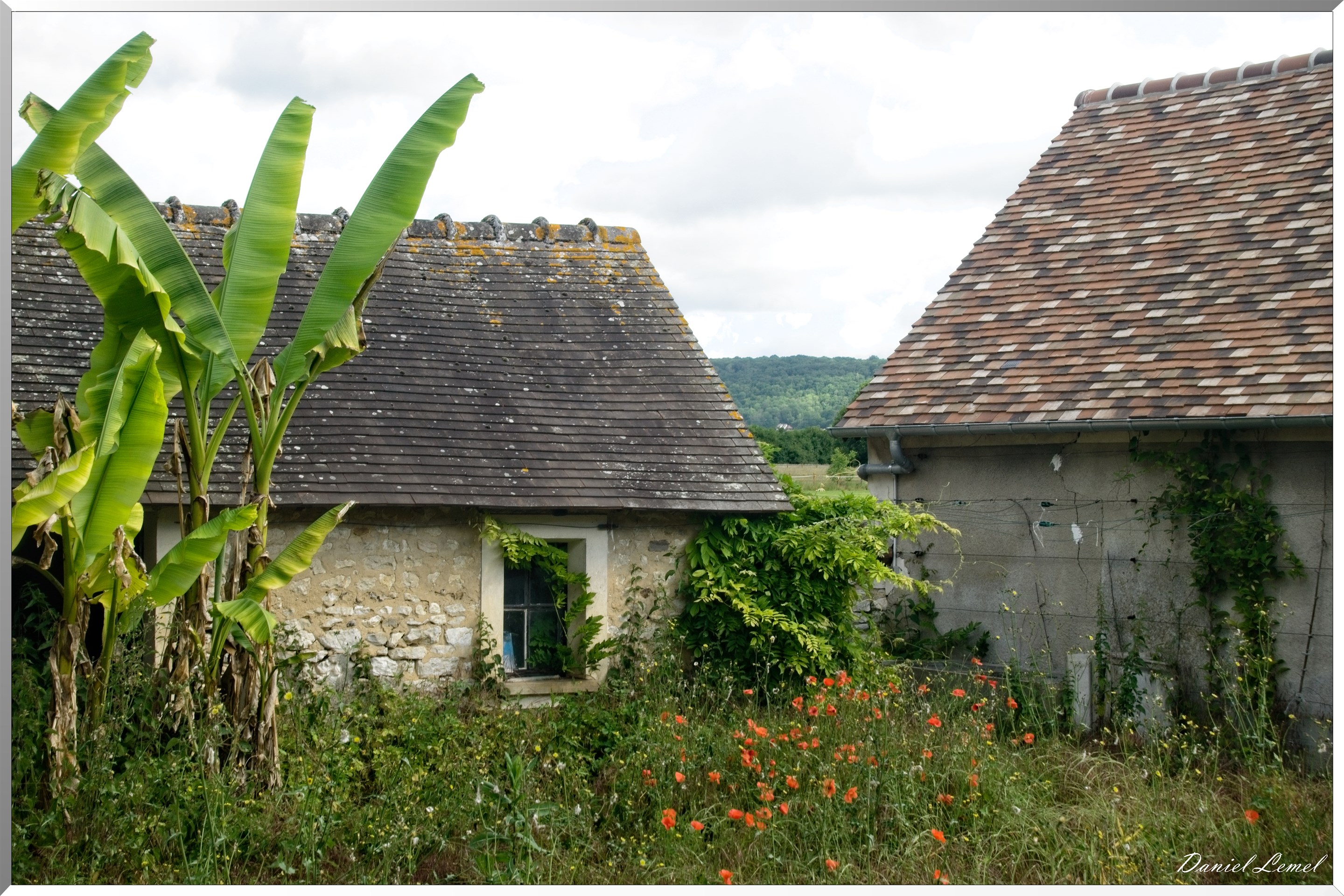 Notre-Dame-de-l'Isle