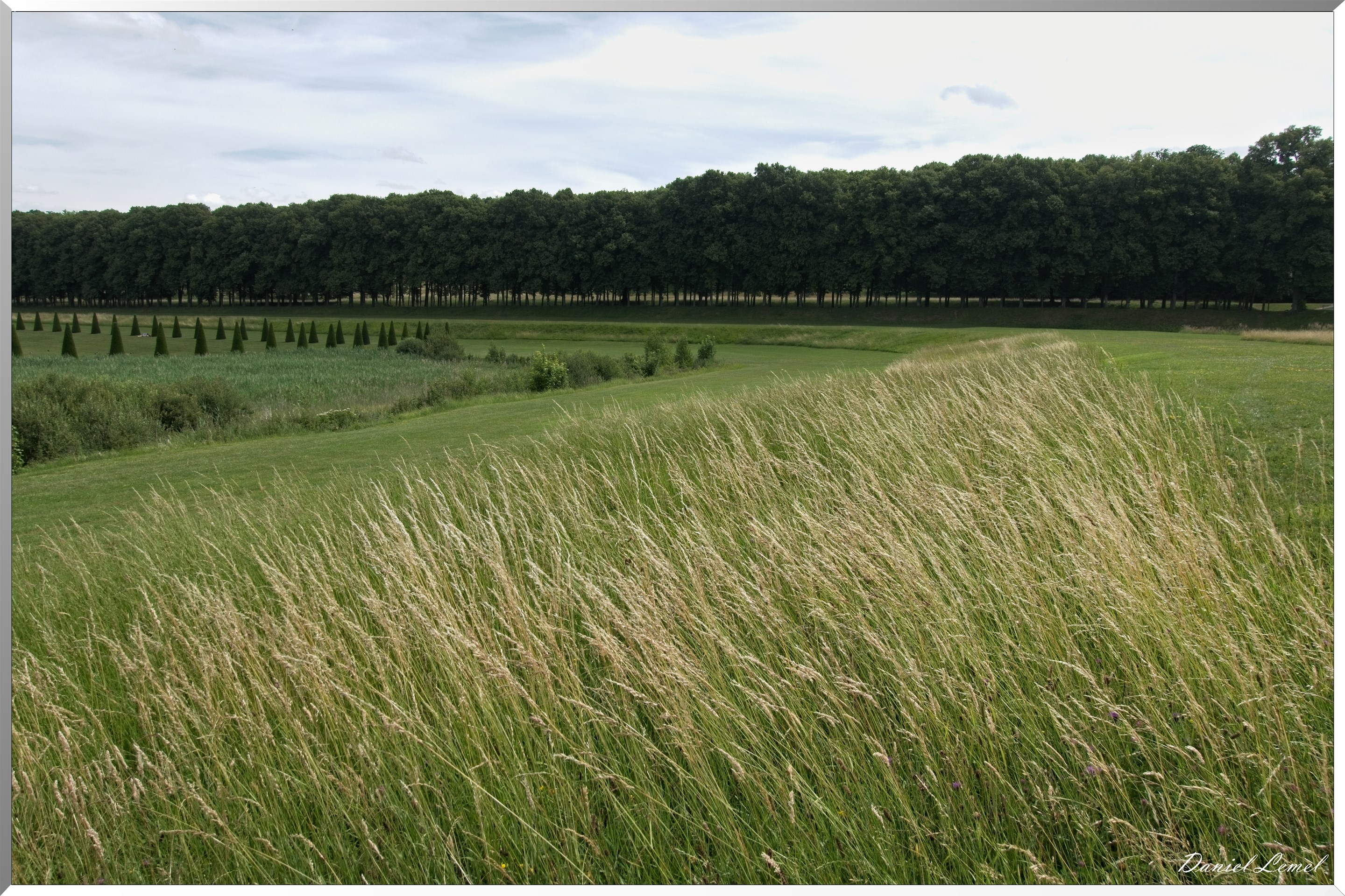 Domaine royal de Marly-Le-Roi