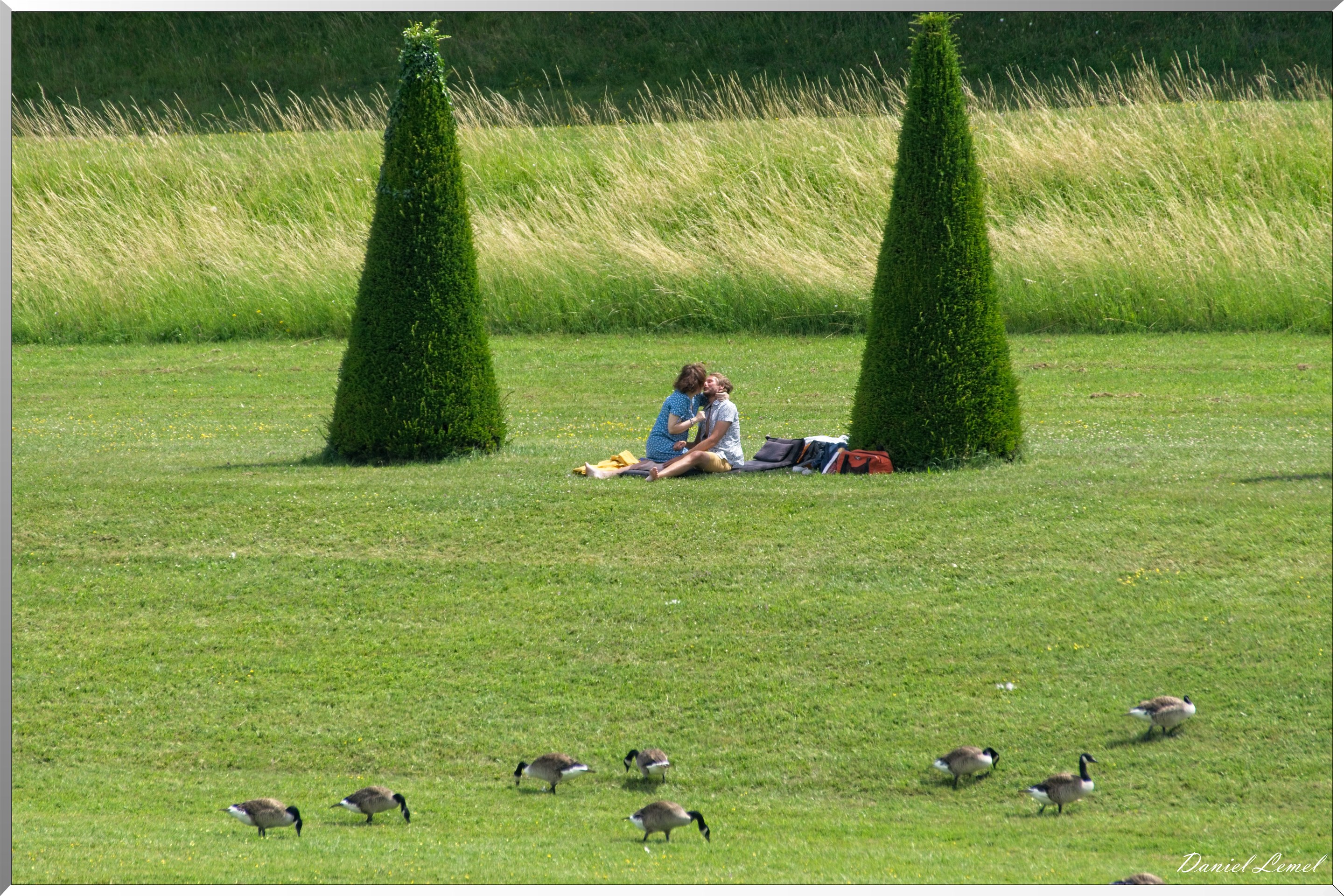Domaine royal de Marly-Le-Roi