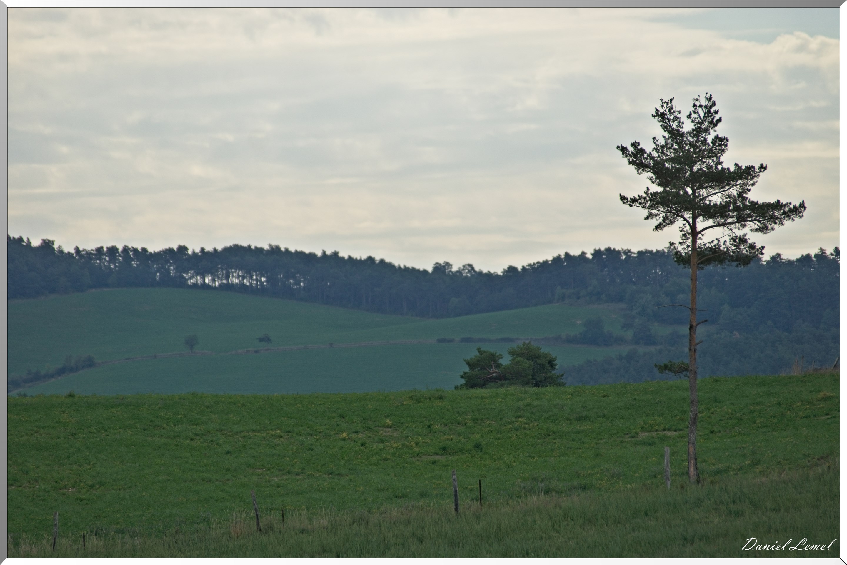 Le Gauzinès en Lozère