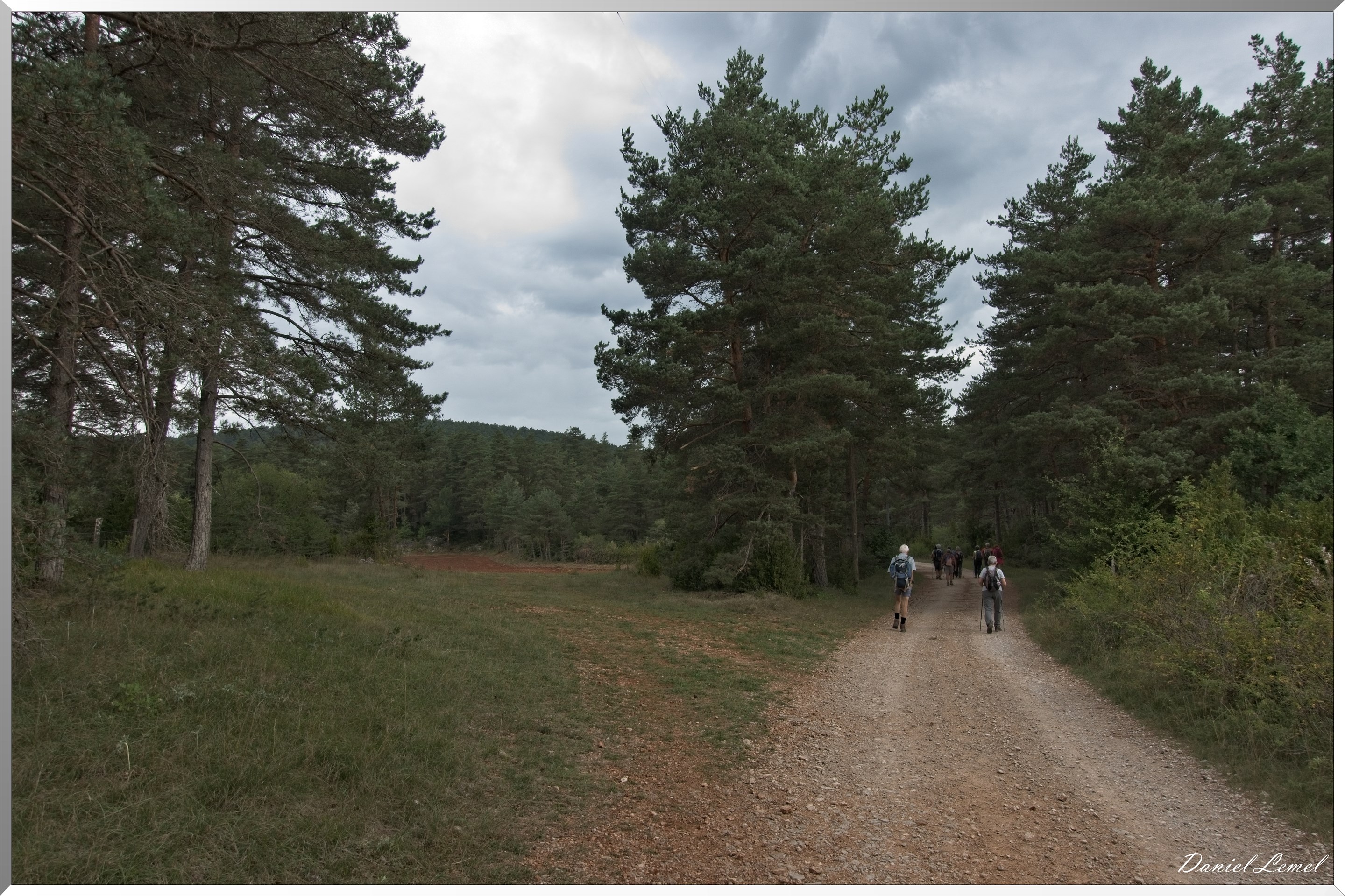 Le Gauzinès en Lozère