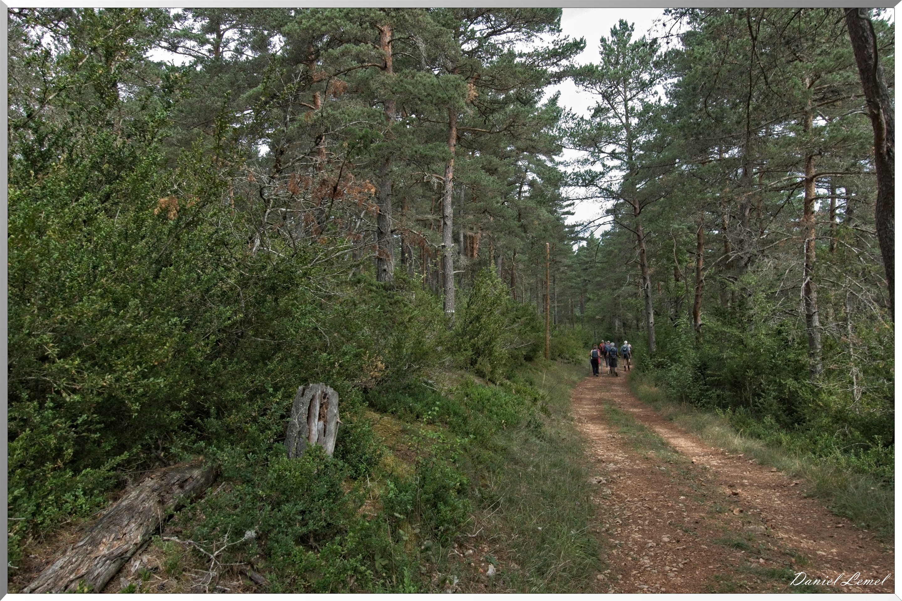 Le Gauzinès en Lozère