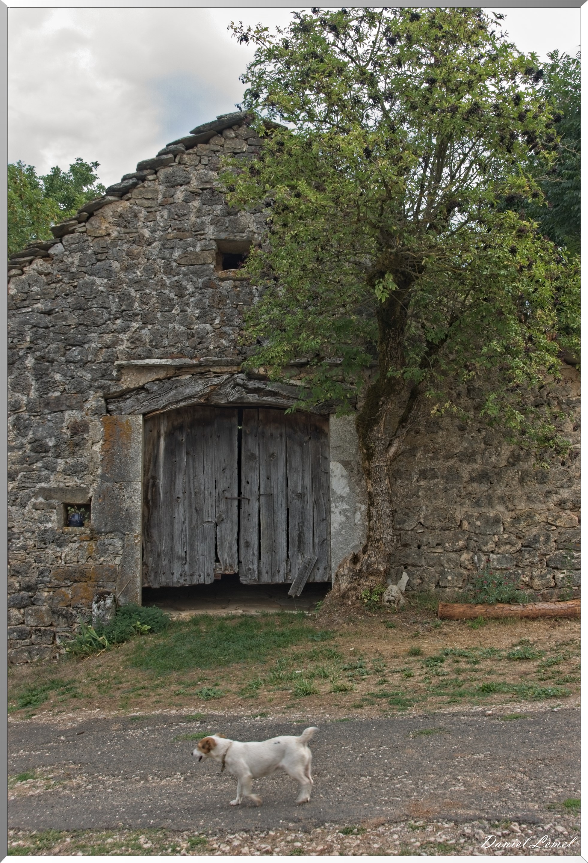 Le Gauzinès en Lozère