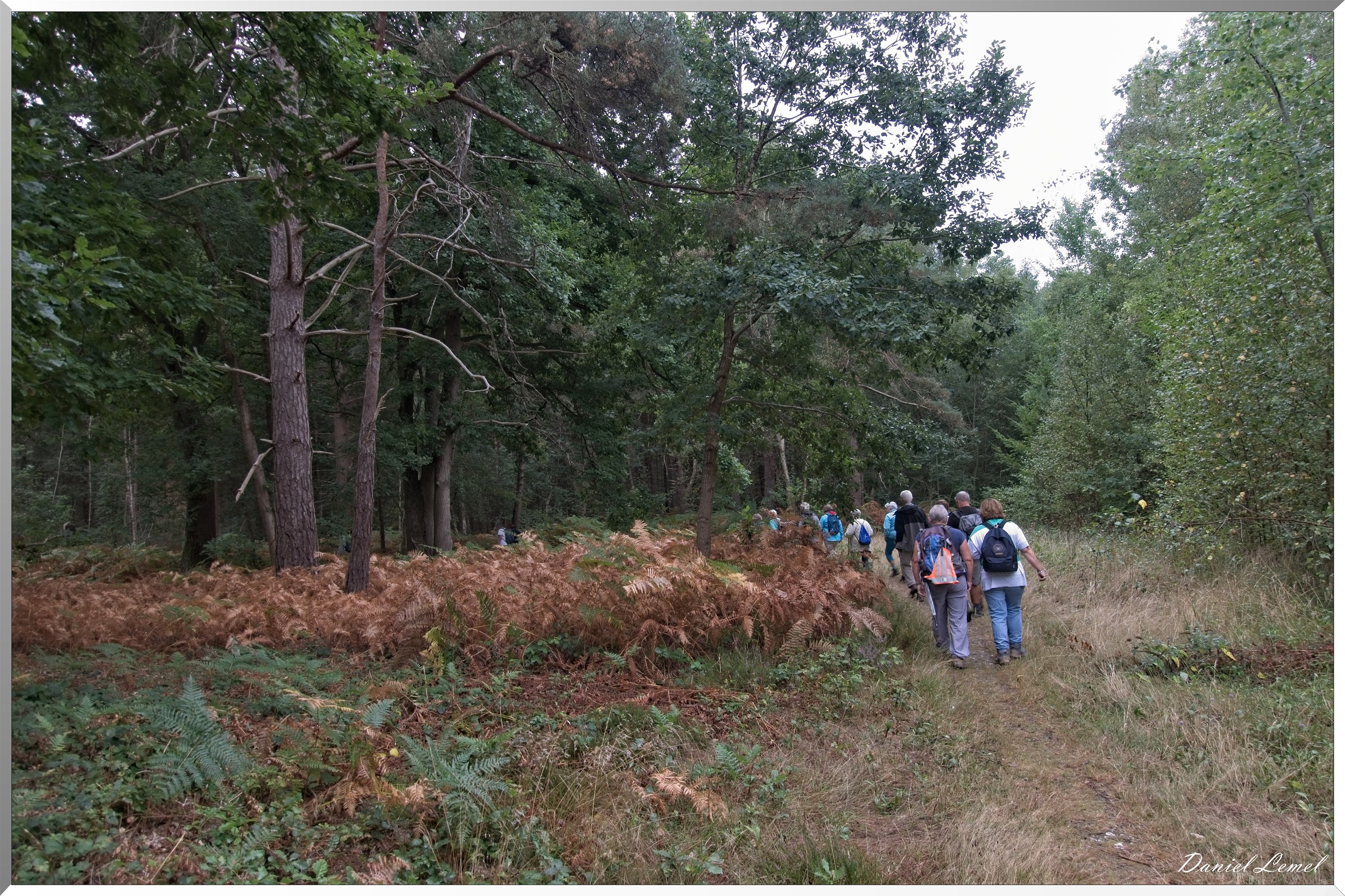 Forêt de Vernon