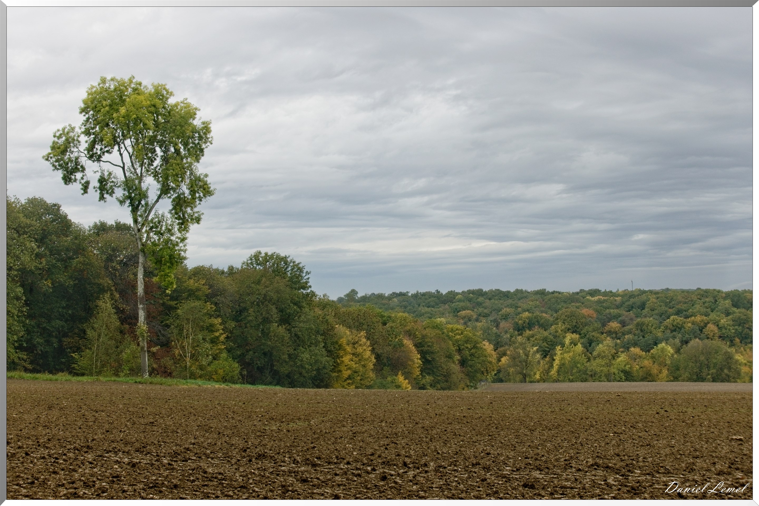 Les Douaires