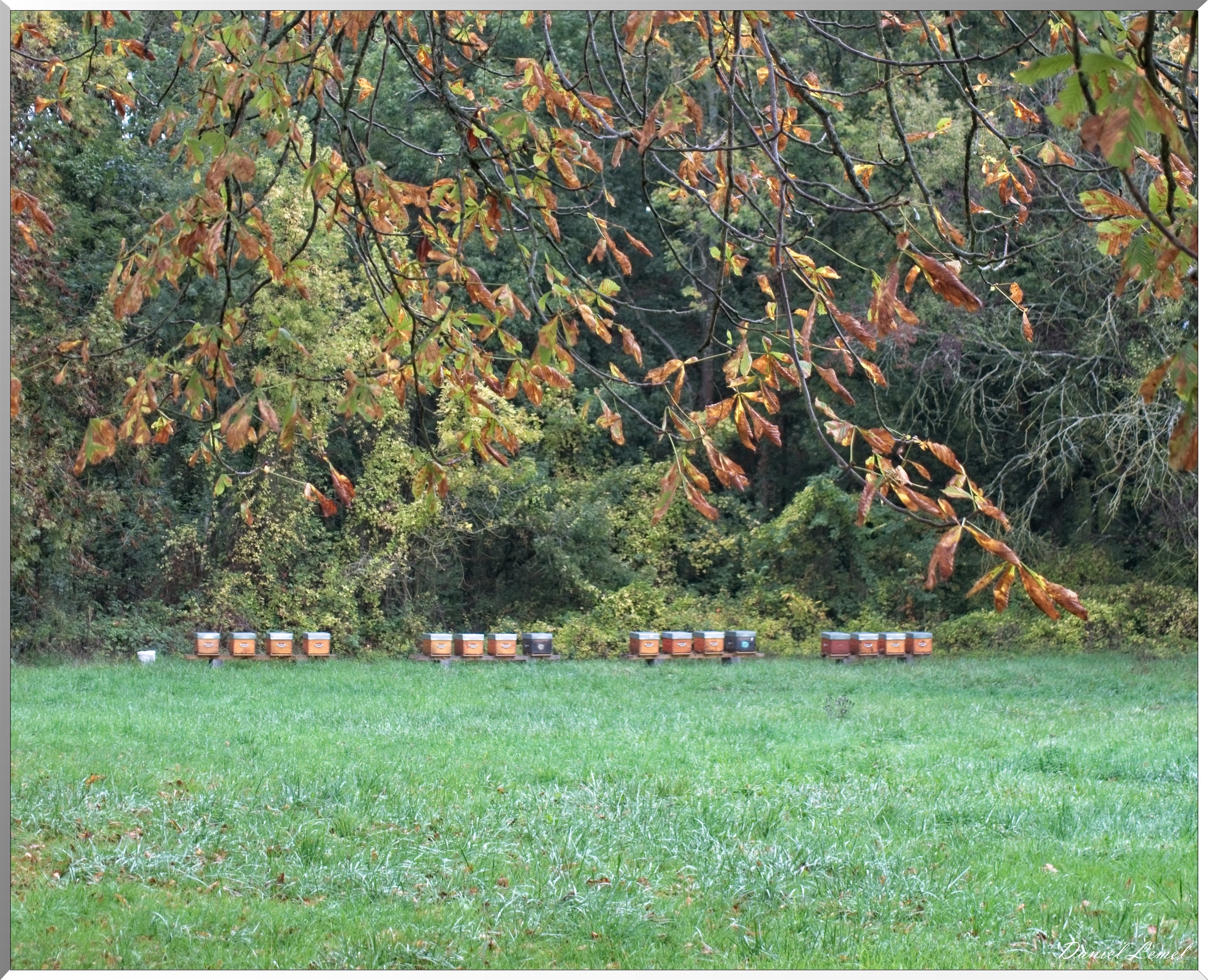 Les Douaires