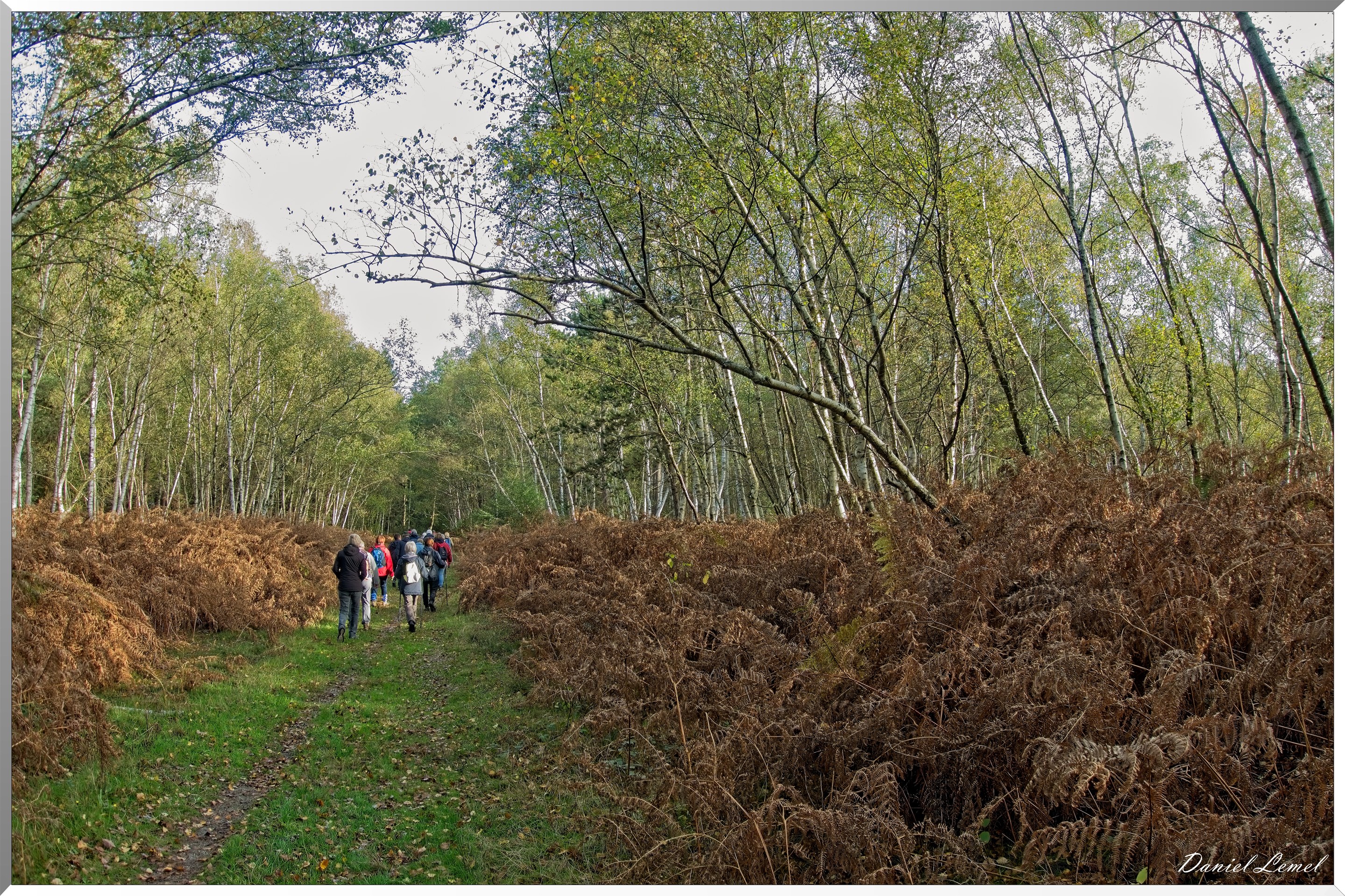 Forêt de Vernon