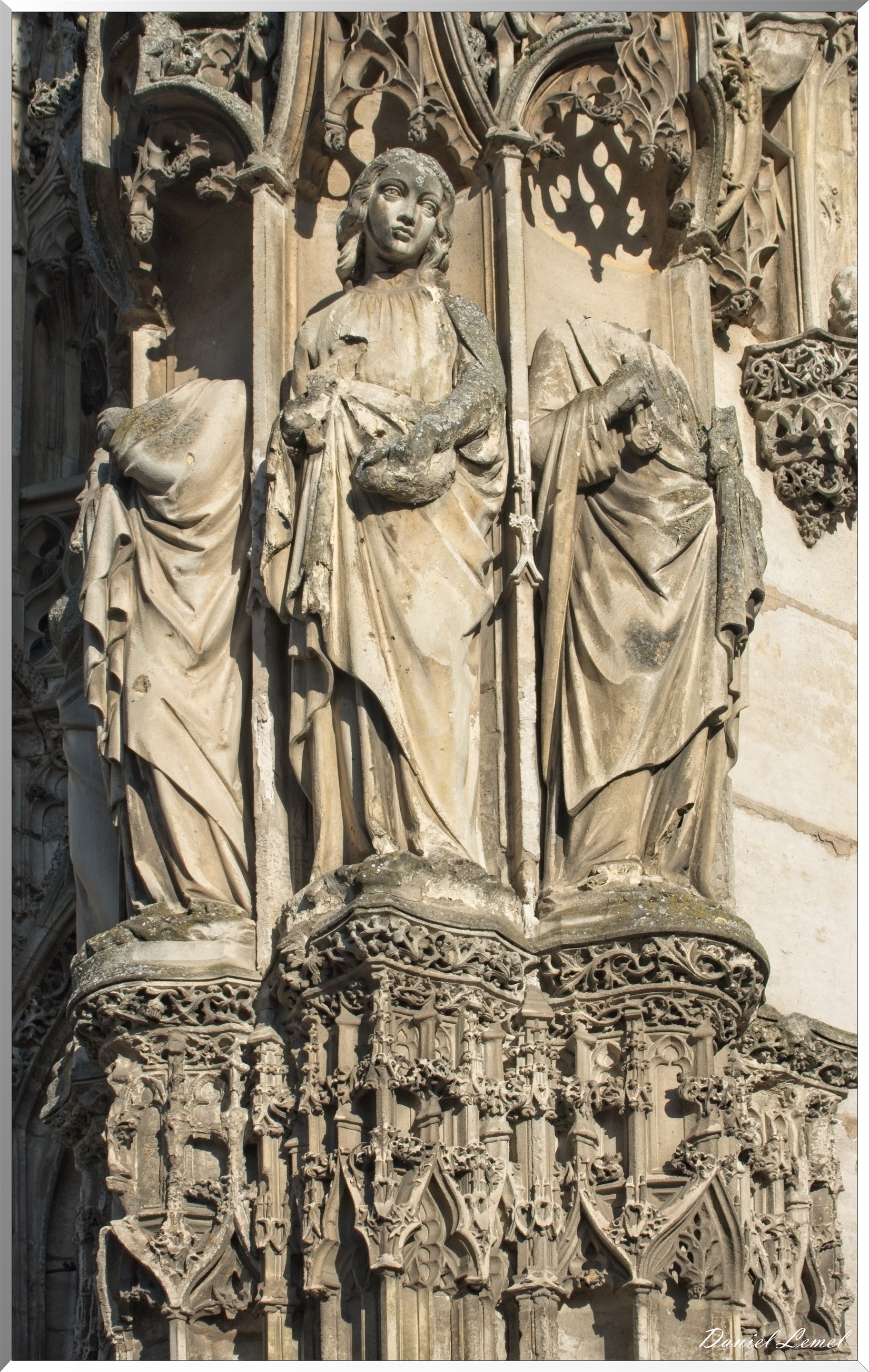  DSC1449W