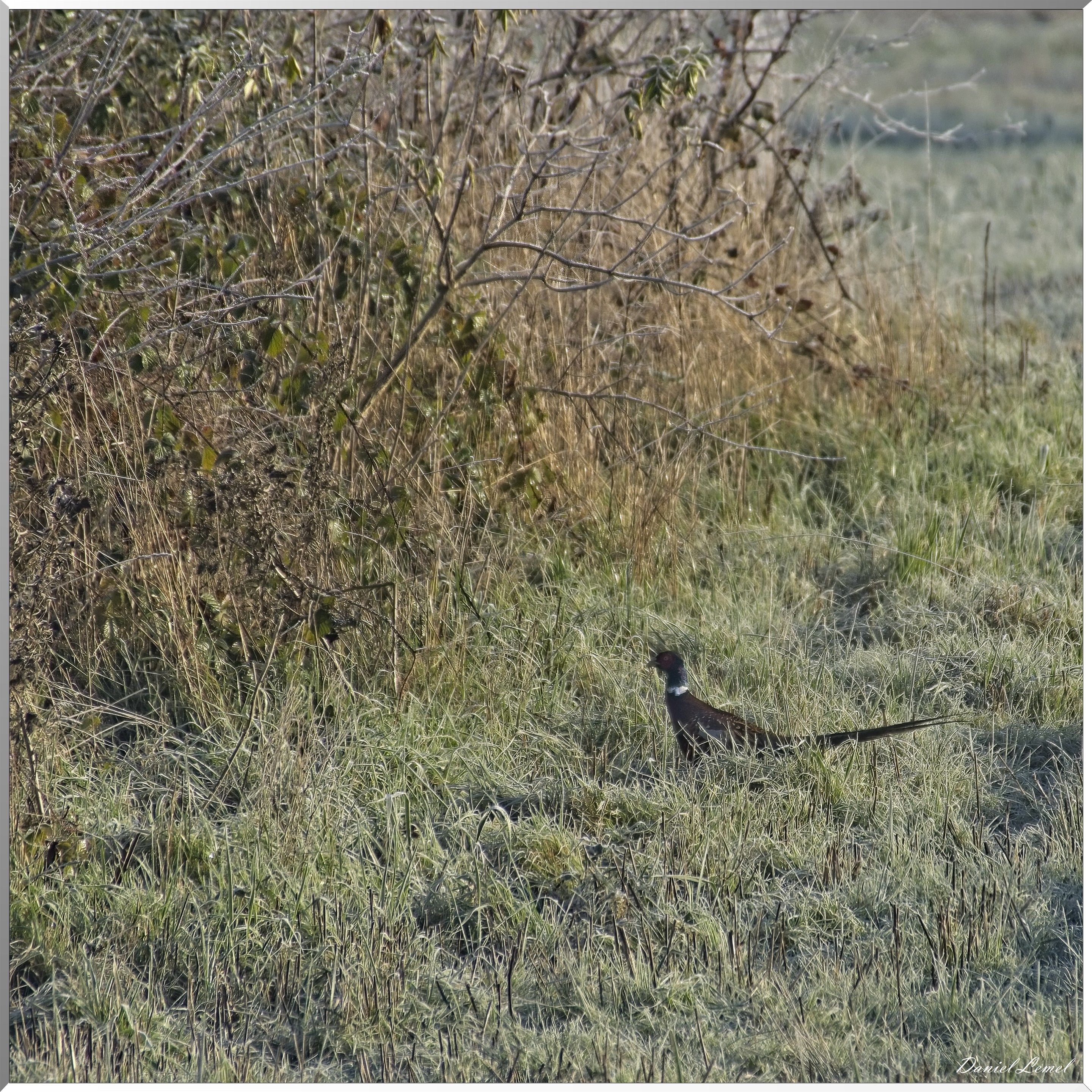 Saint-Just